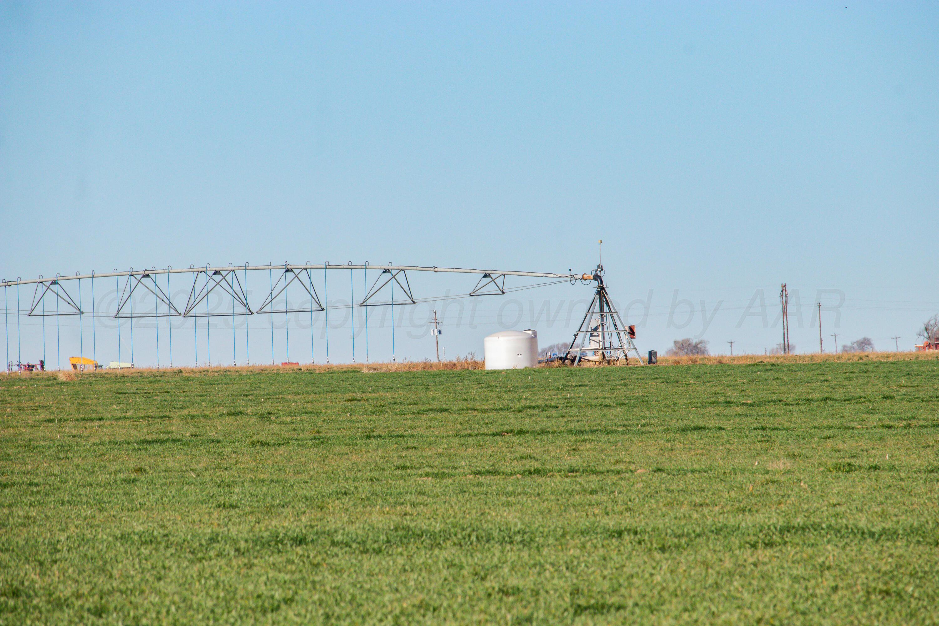 Te Velde Irrigated Farm Property Photo 11