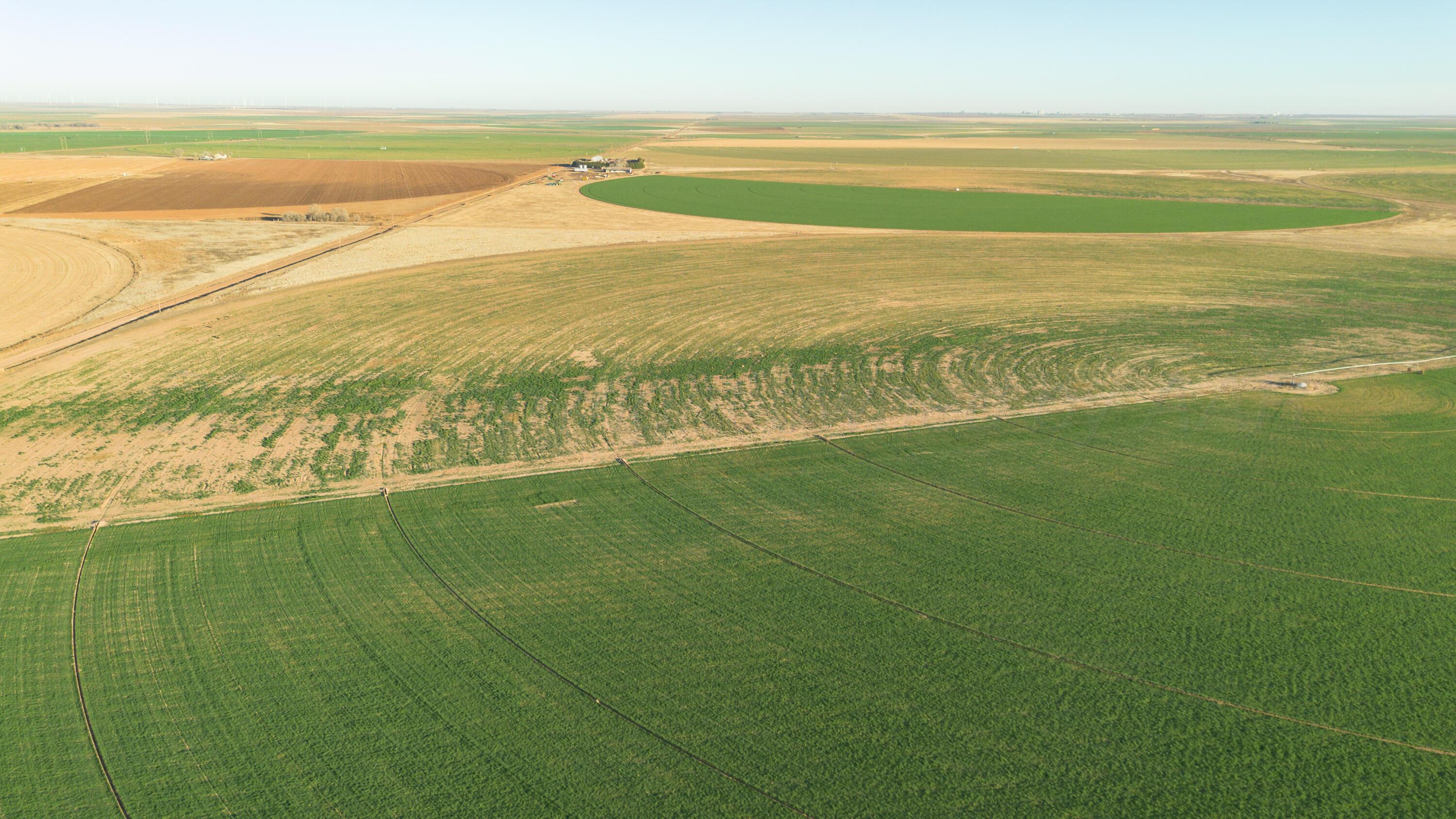 Te Velde Irrigated Farm Property Photo 12