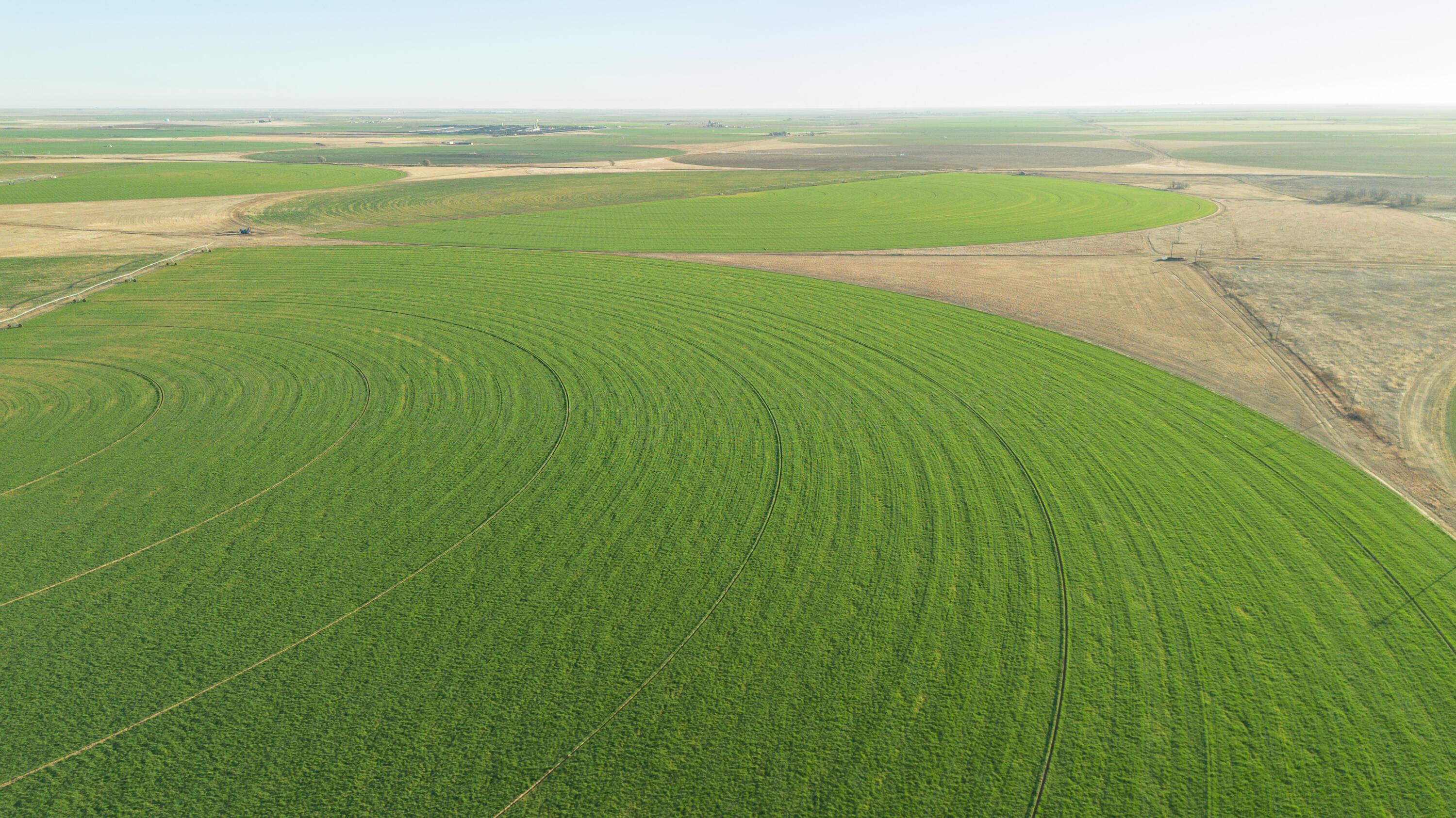 Te Velde Irrigated Farm Property Photo 13