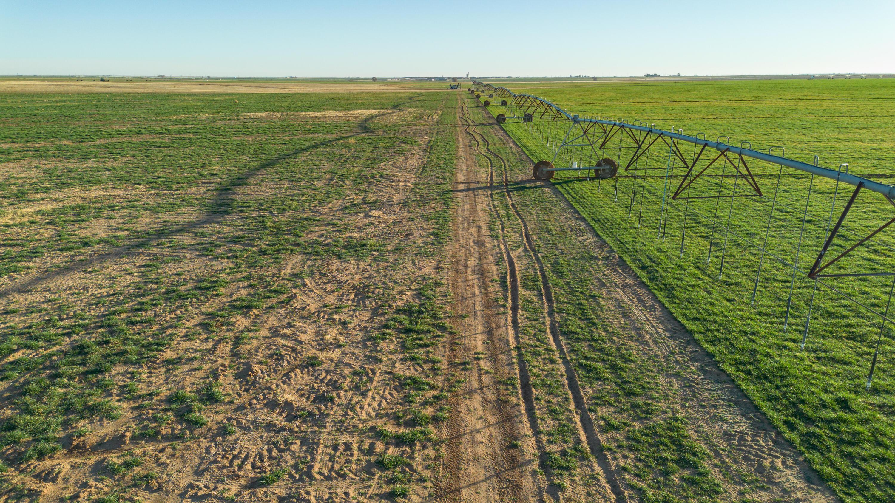 Te Velde Irrigated Farm Property Photo 16