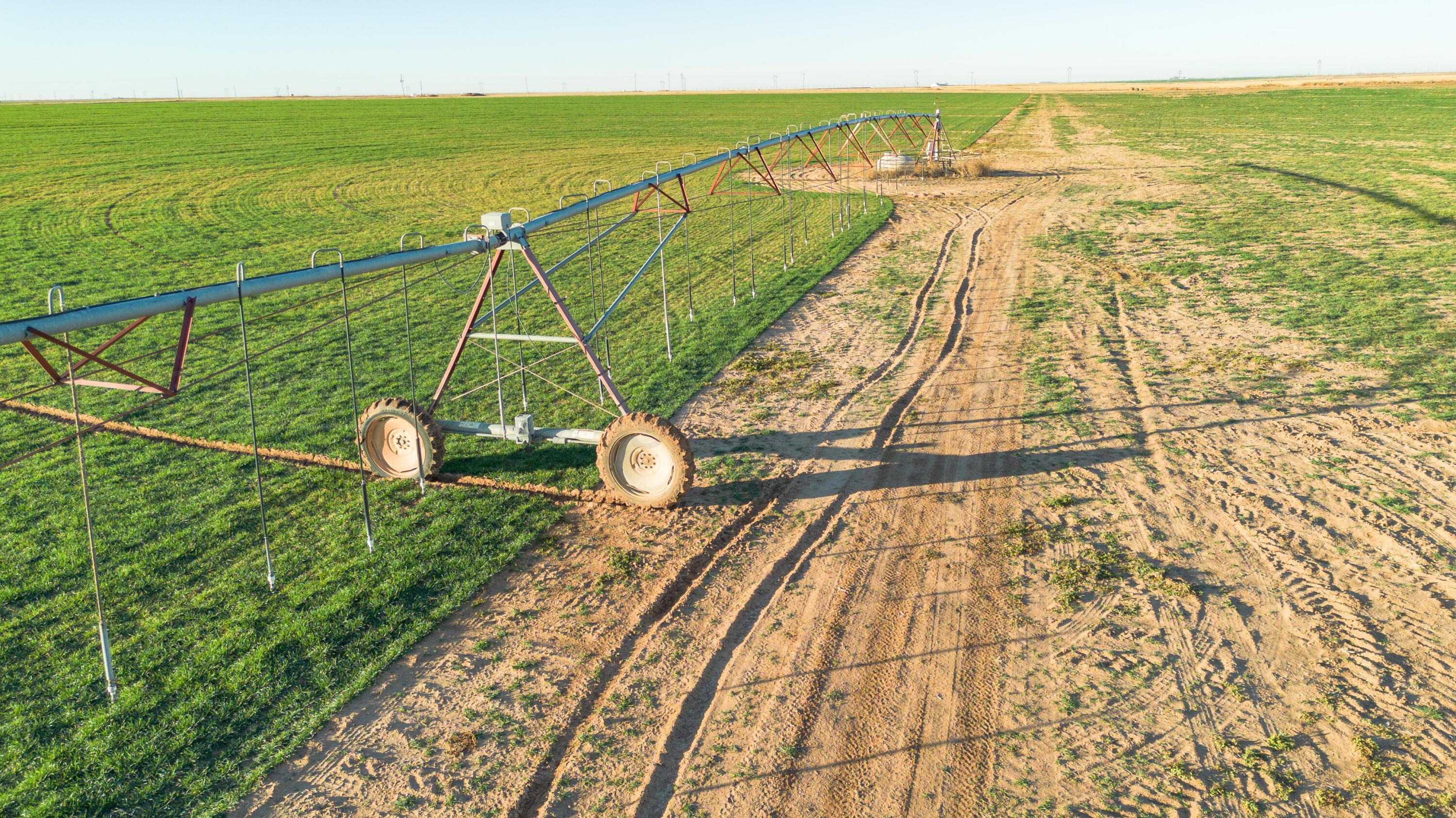 Te Velde Irrigated Farm Property Photo 18