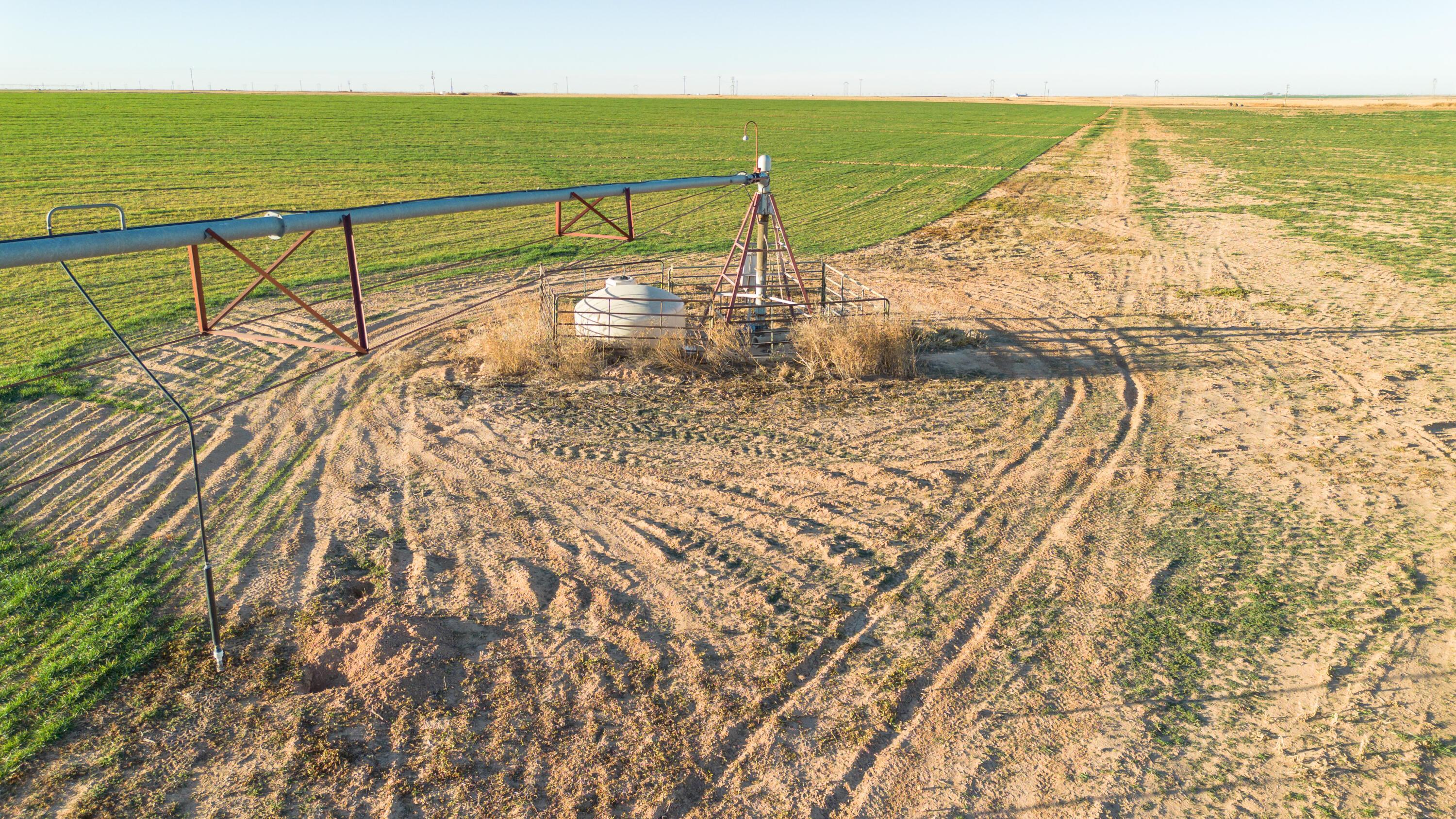 Te Velde Irrigated Farm Property Photo 19
