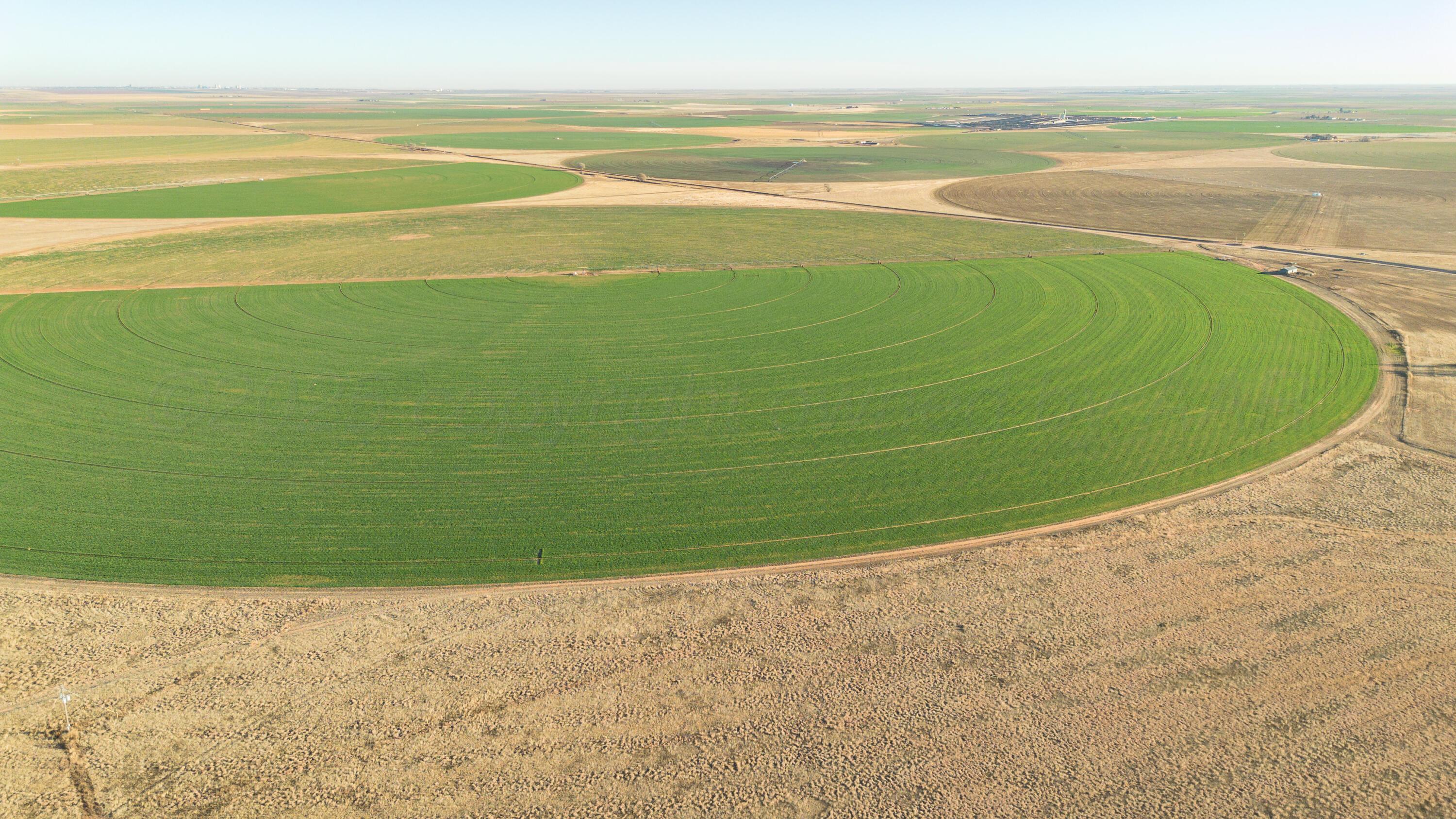 Te Velde Irrigated Farm Property Photo 24