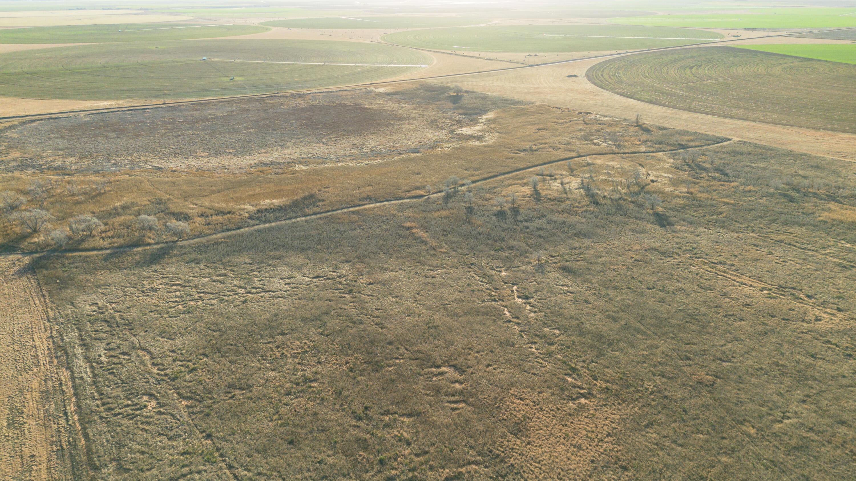 Te Velde Irrigated Farm Property Photo 25