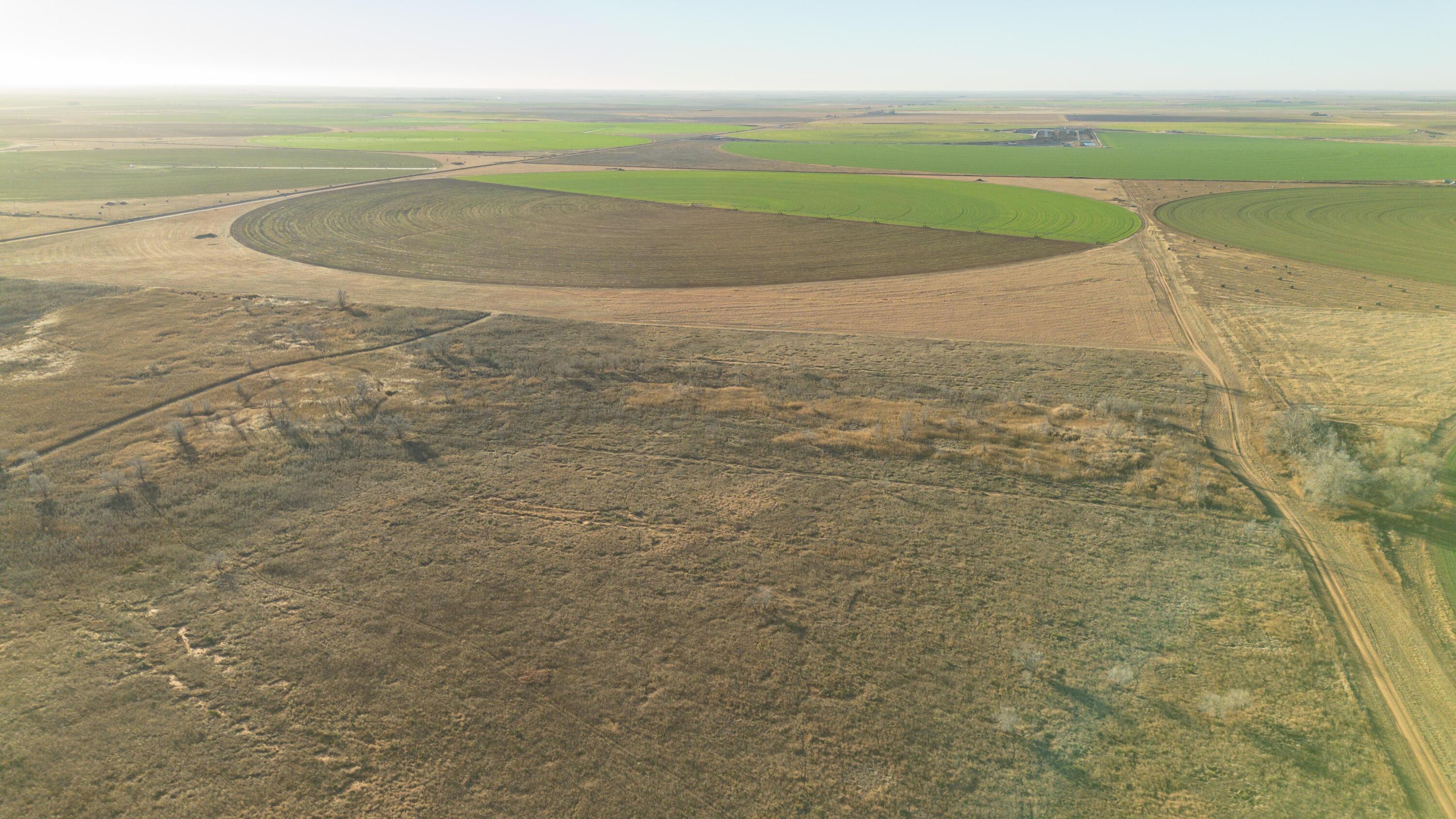 Te Velde Irrigated Farm Property Photo 26