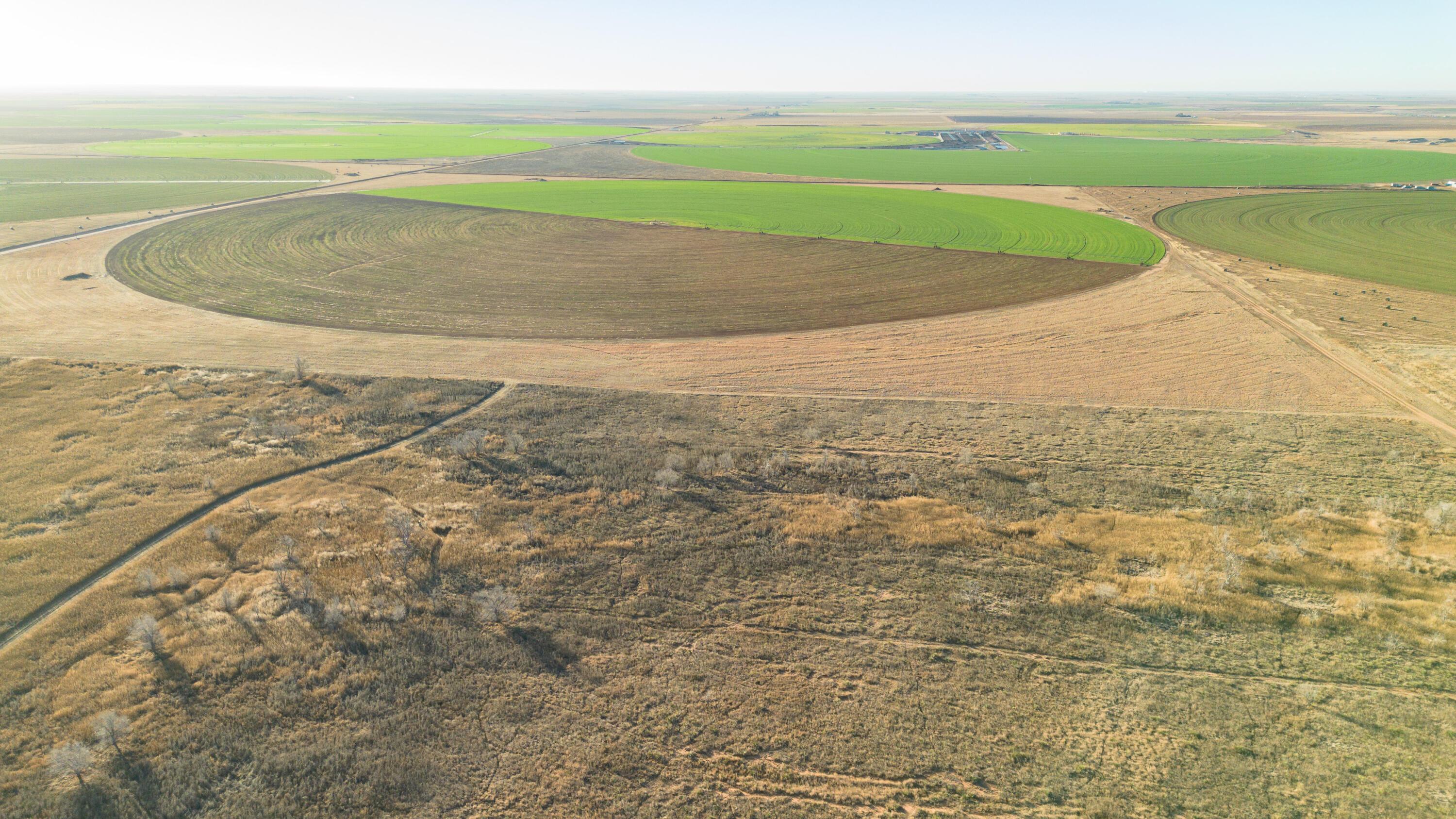 Te Velde Irrigated Farm Property Photo 27