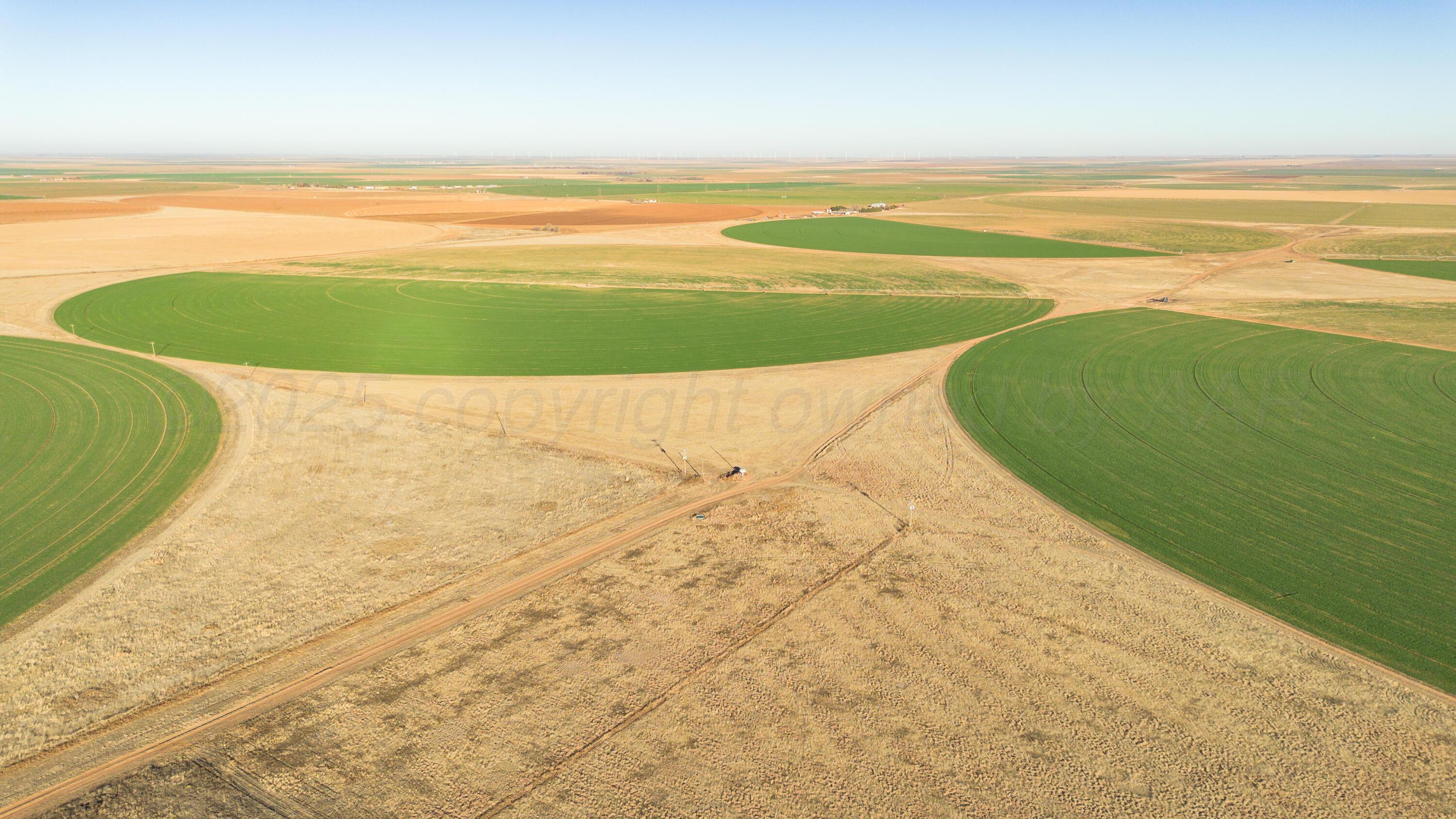 Te Velde Irrigated Farm Property Photo 28