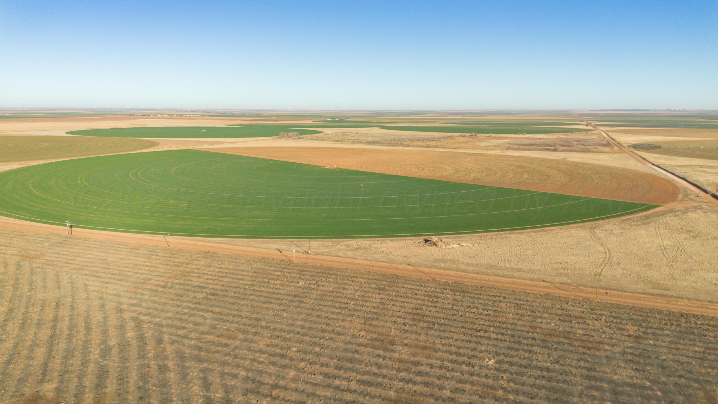 Te Velde Irrigated Farm Property Photo 30
