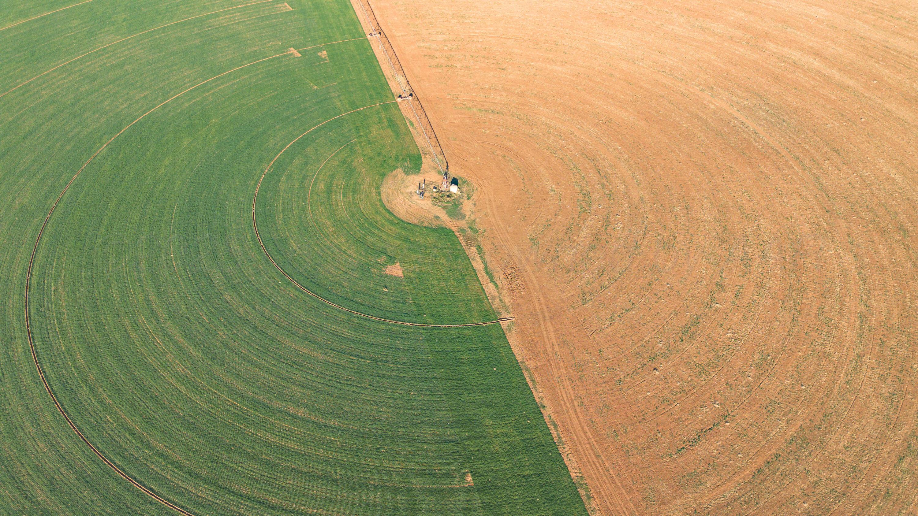 Te Velde Irrigated Farm Property Photo 32