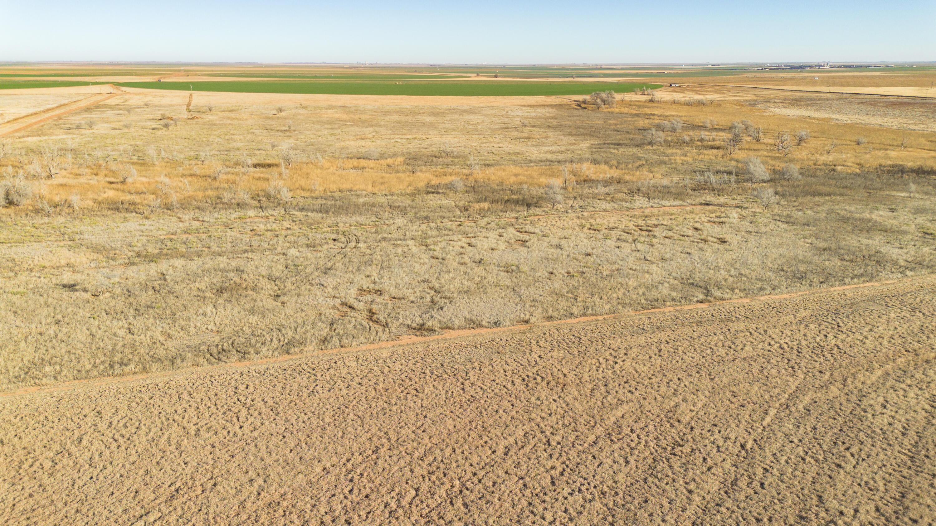Te Velde Irrigated Farm Property Photo 34