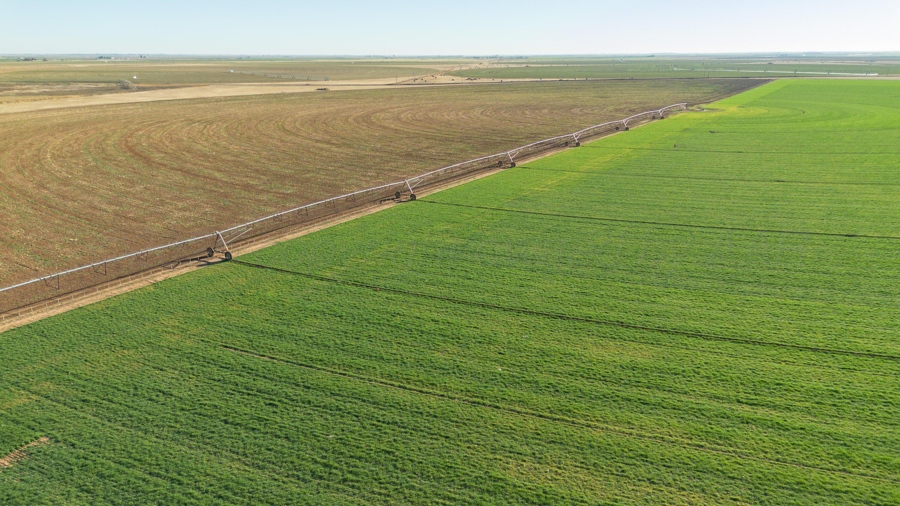 Te Velde Irrigated Farm Property Photo 35
