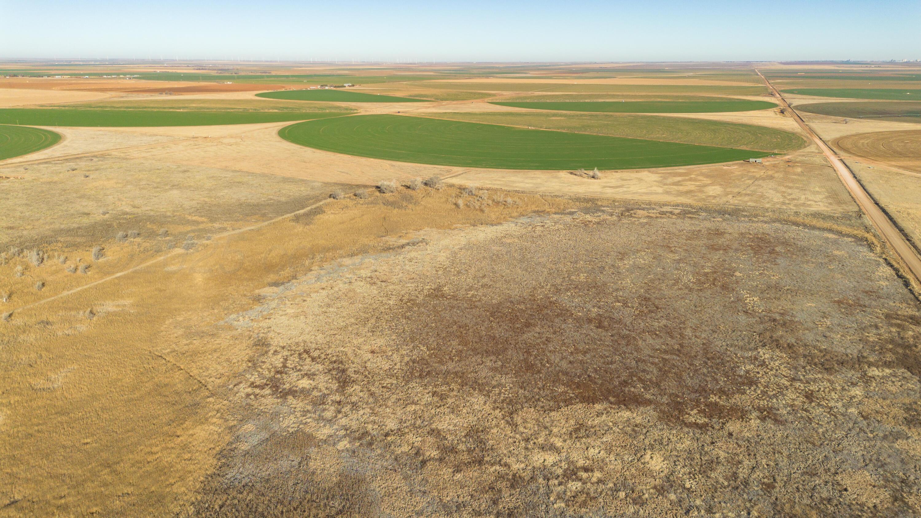 Te Velde Irrigated Farm Property Photo 38