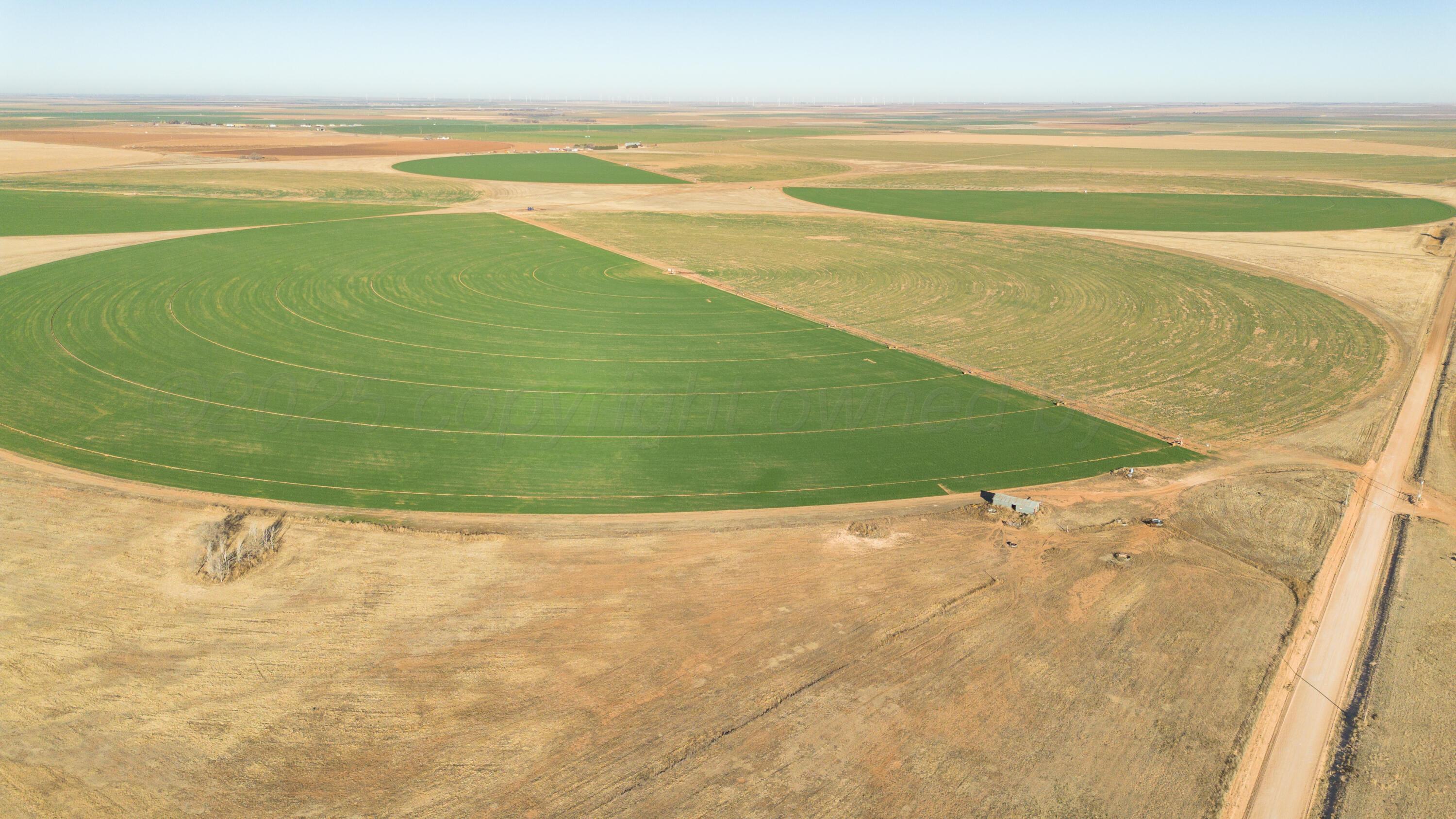 Te Velde Irrigated Farm Property Photo 39