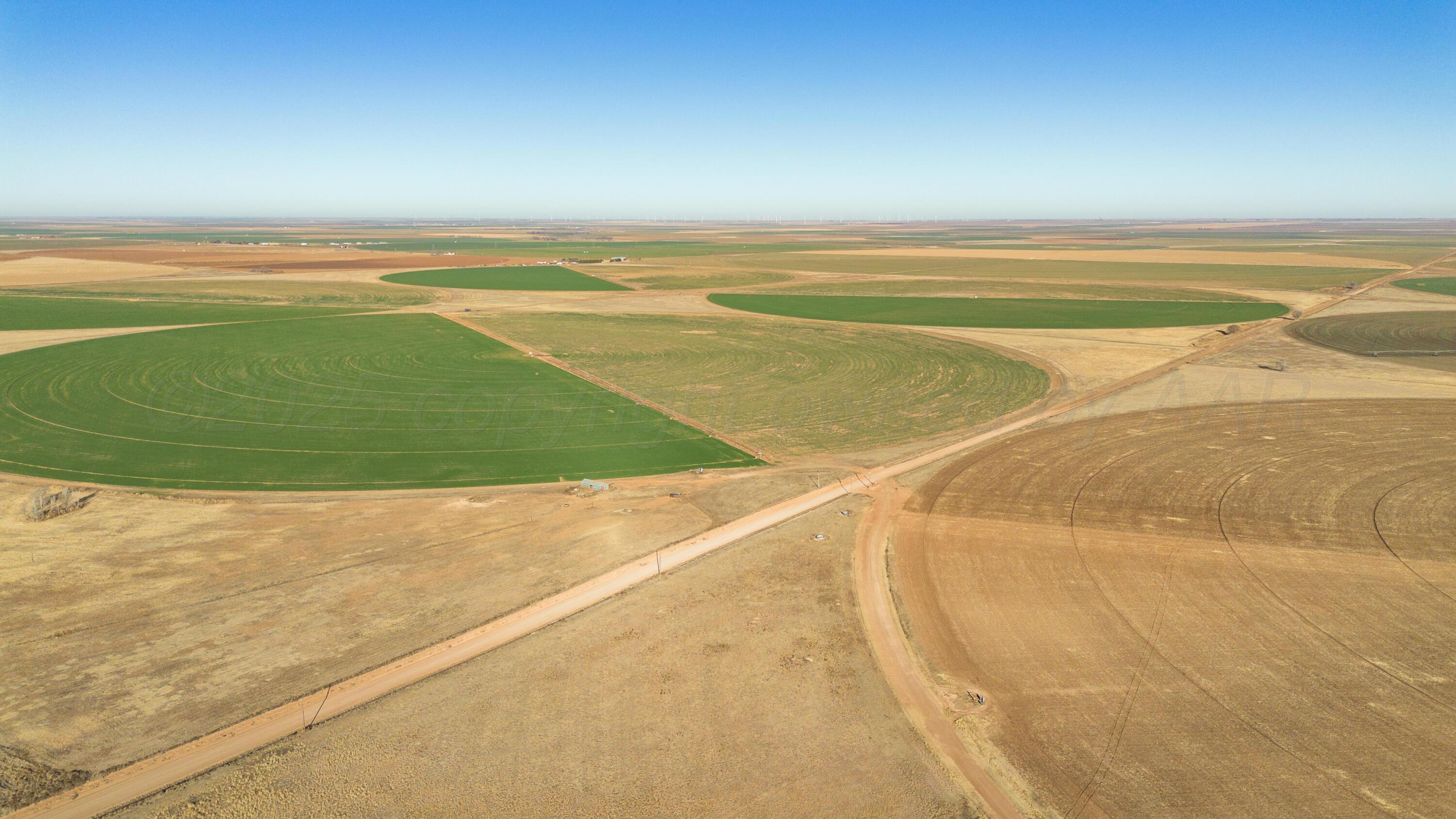Te Velde Irrigated Farm Property Photo 41