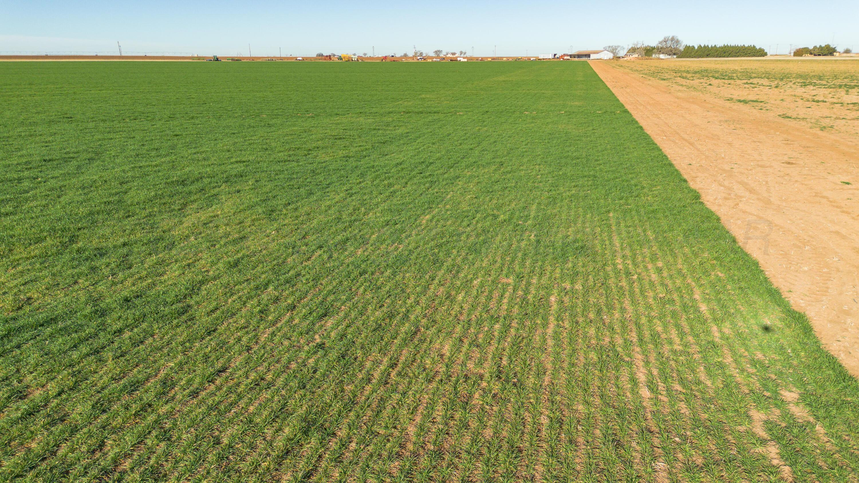 Te Velde Irrigated Farm Property Photo 50