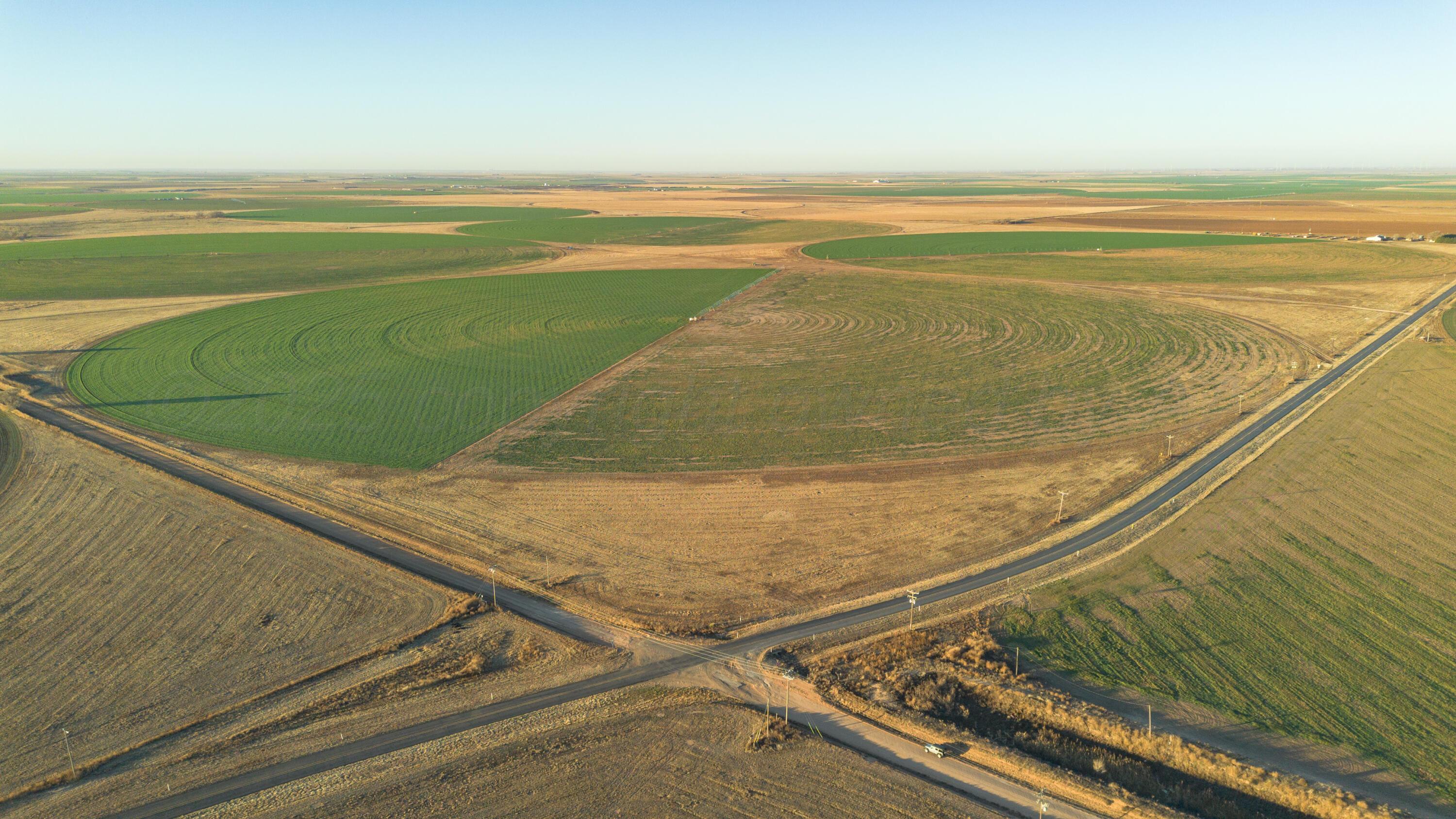 Te Velde Irrigated Farm Property Photo 51