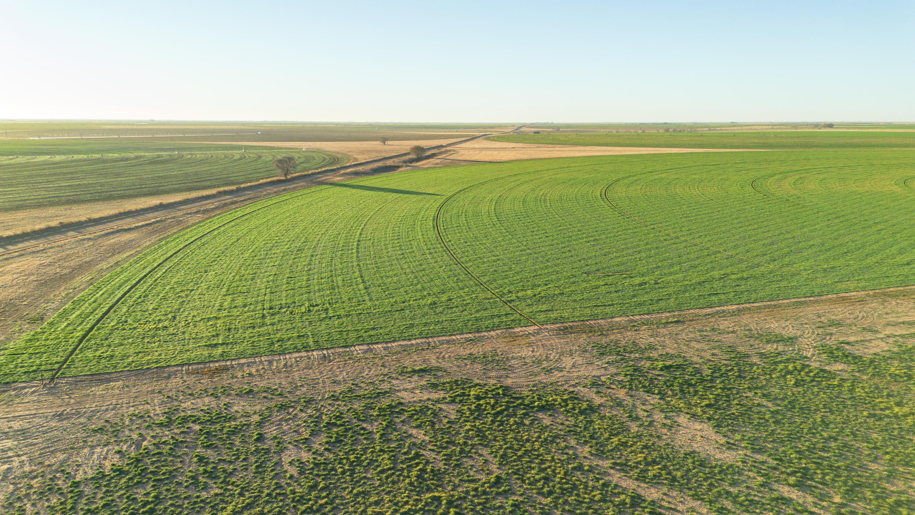 Te Velde Irrigated Farm Property Photo 55