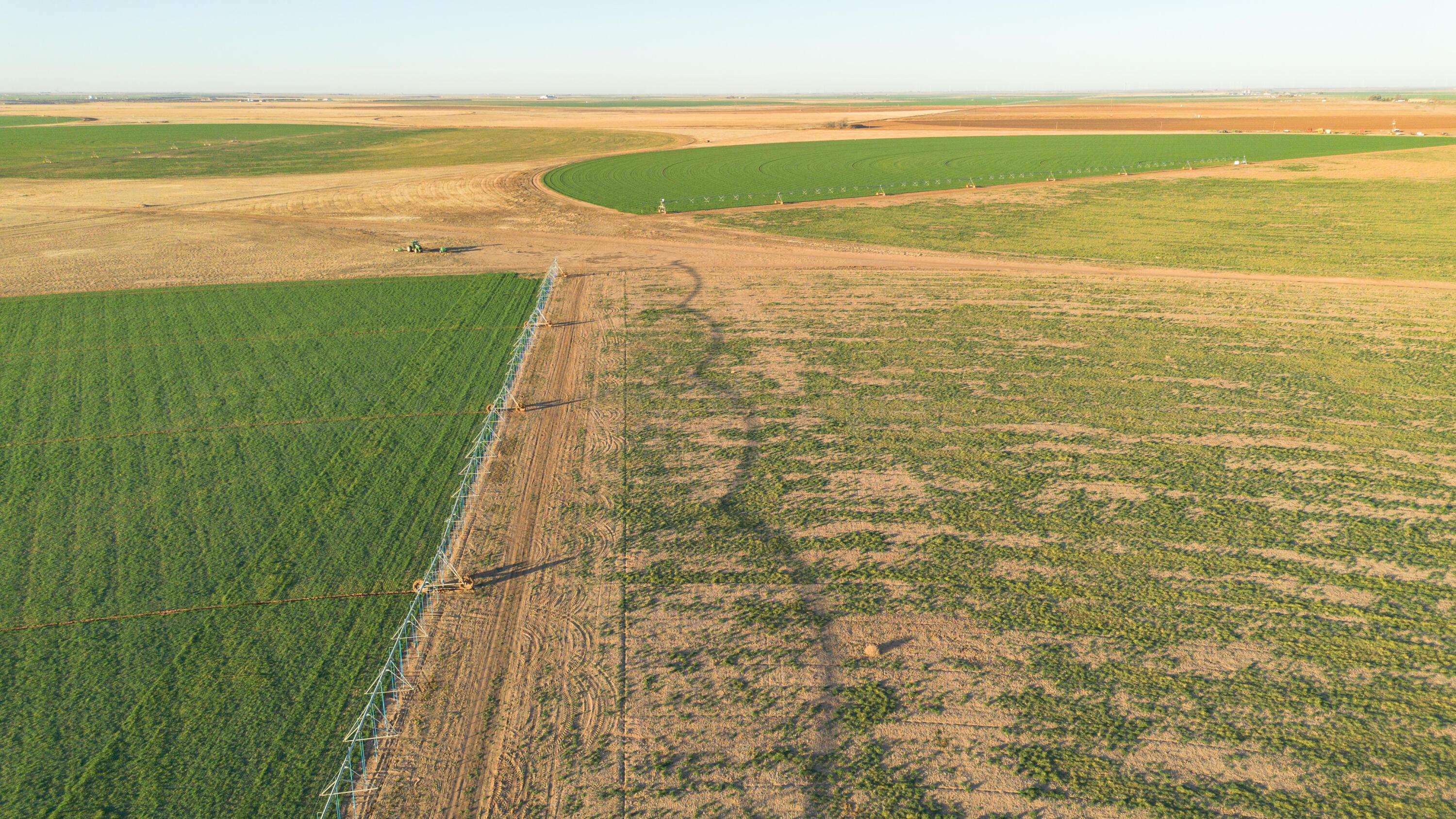 Te Velde Irrigated Farm Property Photo 56