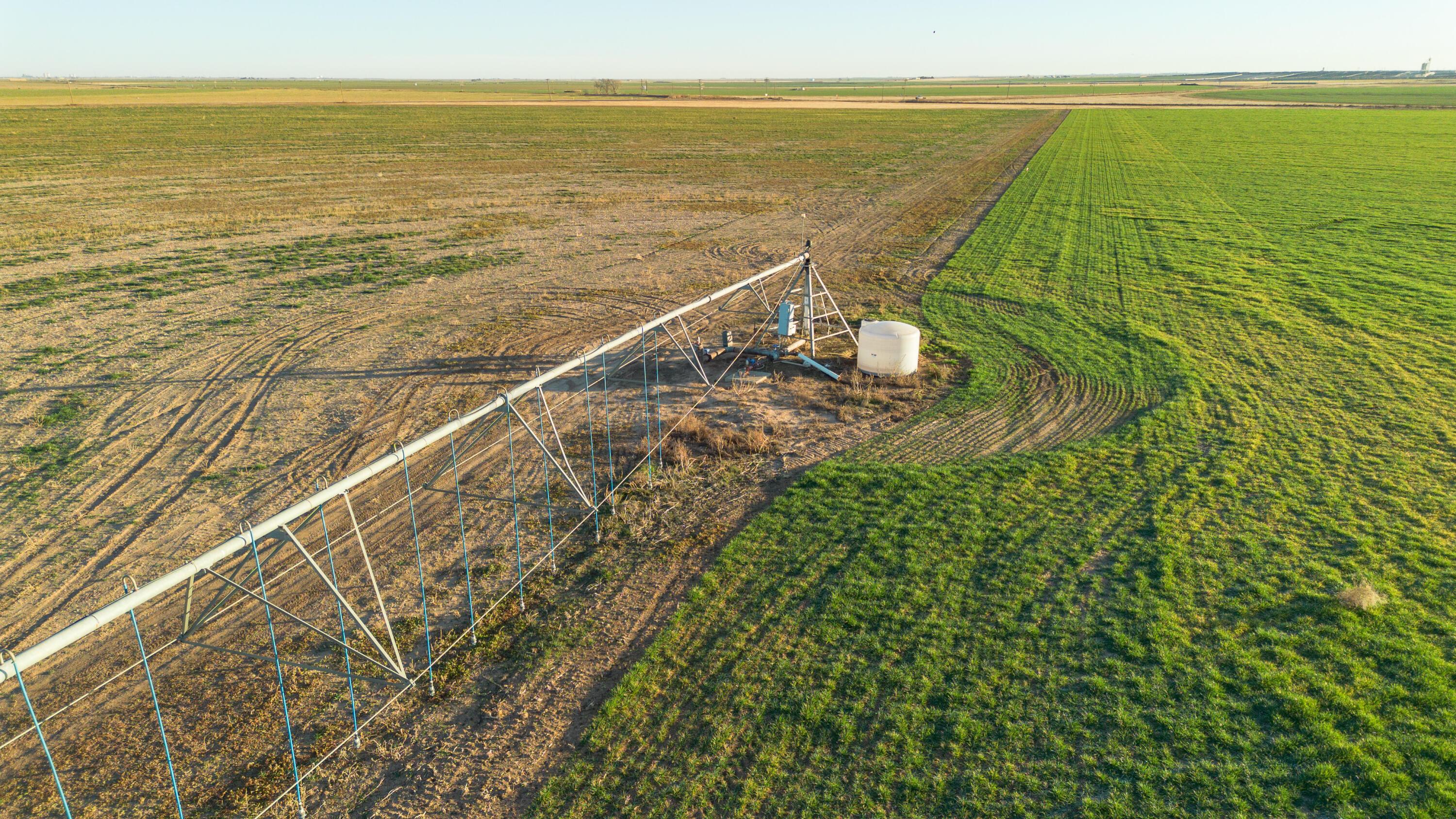 Te Velde Irrigated Farm Property Photo 57