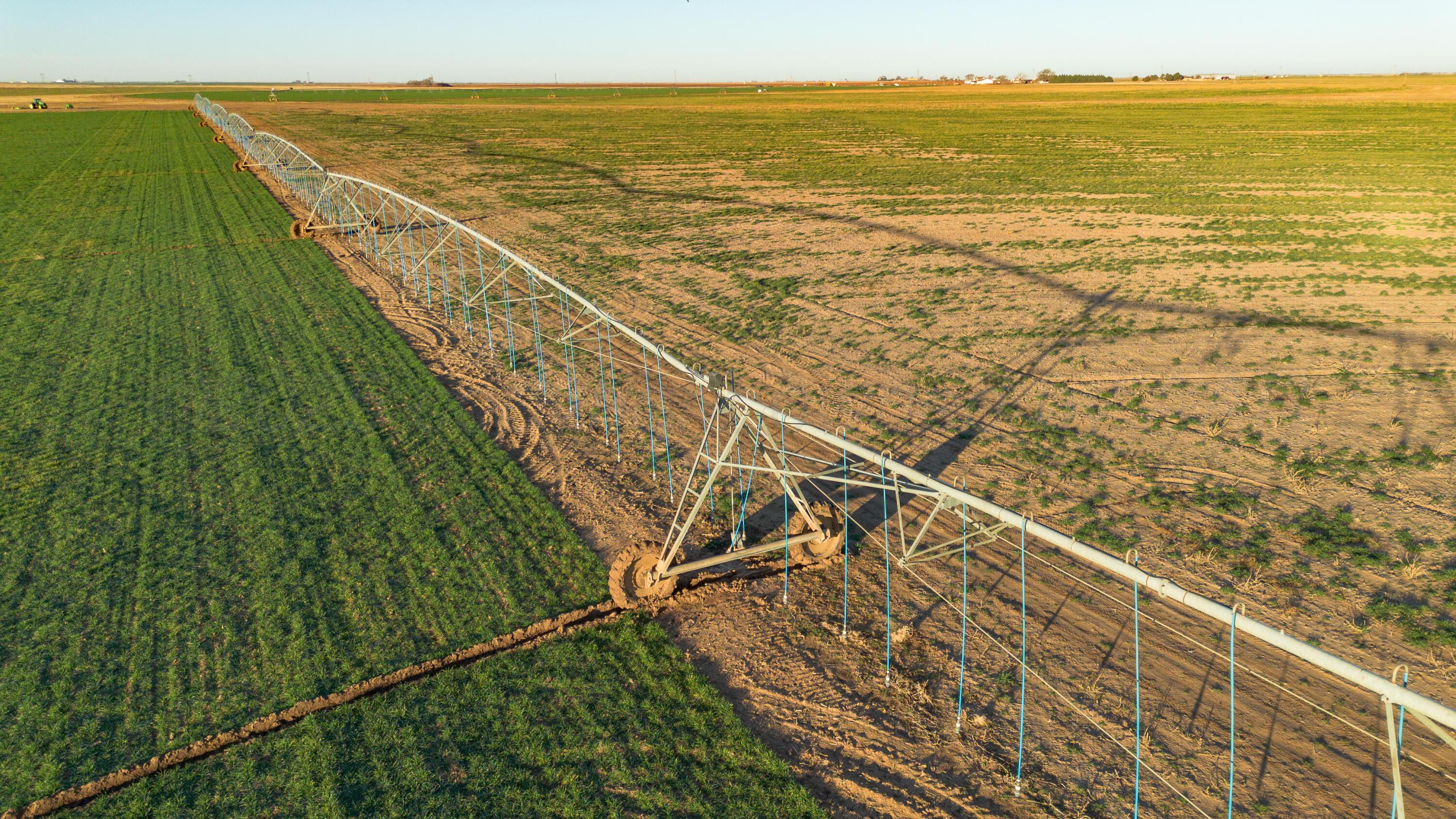 Te Velde Irrigated Farm Property Photo 58