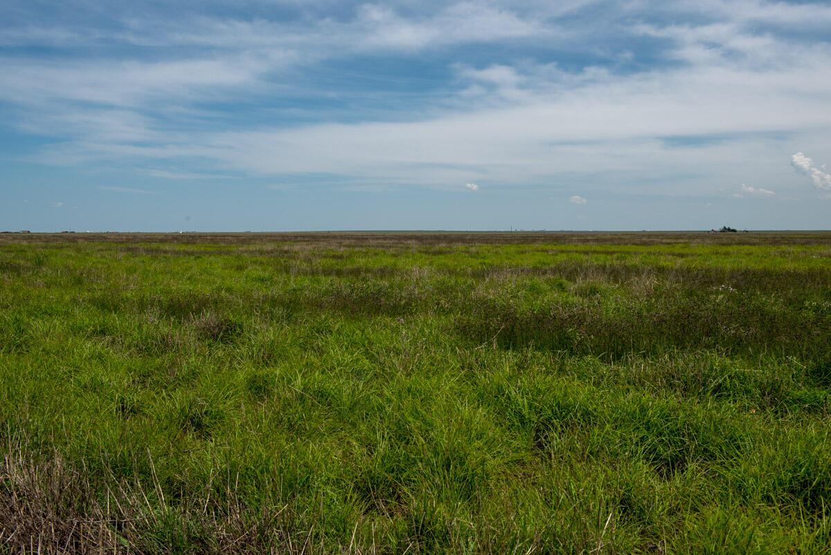 Slape 176.5 Ac Fm 1705 Property Photo 8
