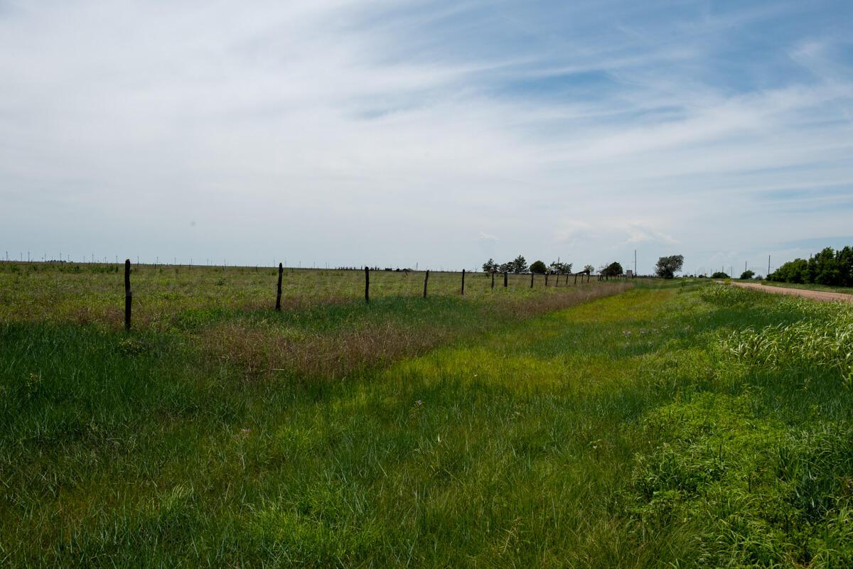 Slape 176.5 Ac Fm 1705 Property Photo 9