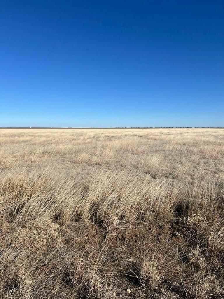 Fm 722 Property Photo