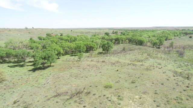 Collingsworth County Real Estate Listings Main Image