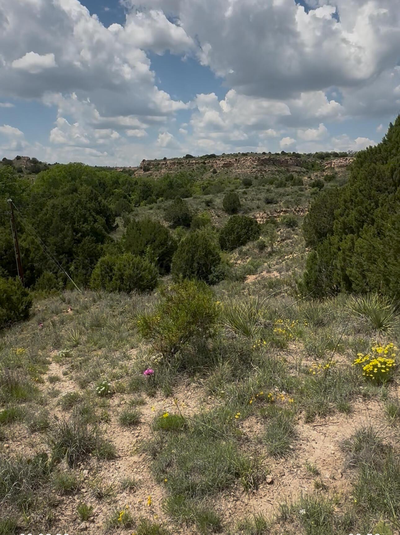 W Timbercreek Drive Property Photo 1