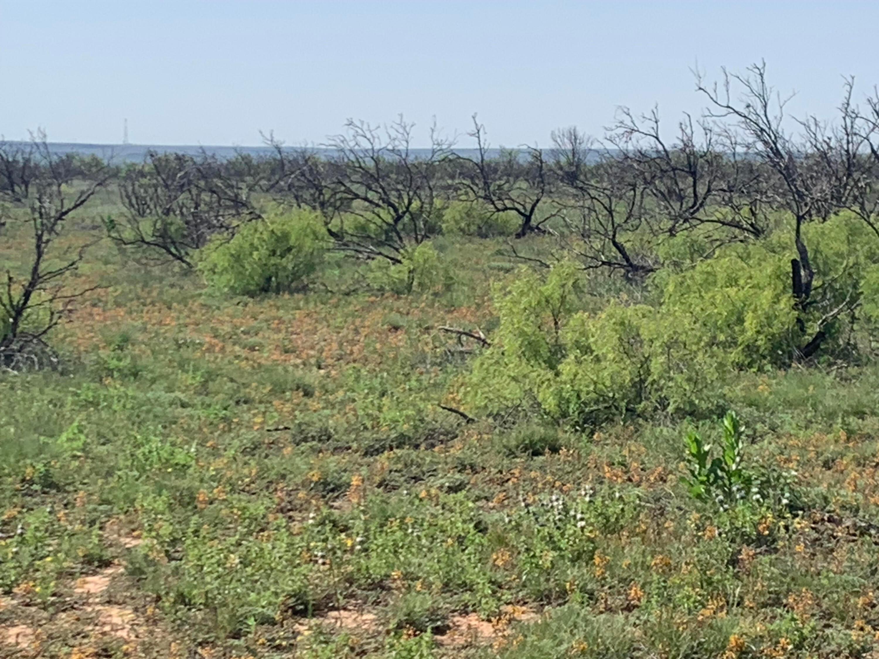 0 Cedar Creek Road Property Photo 1