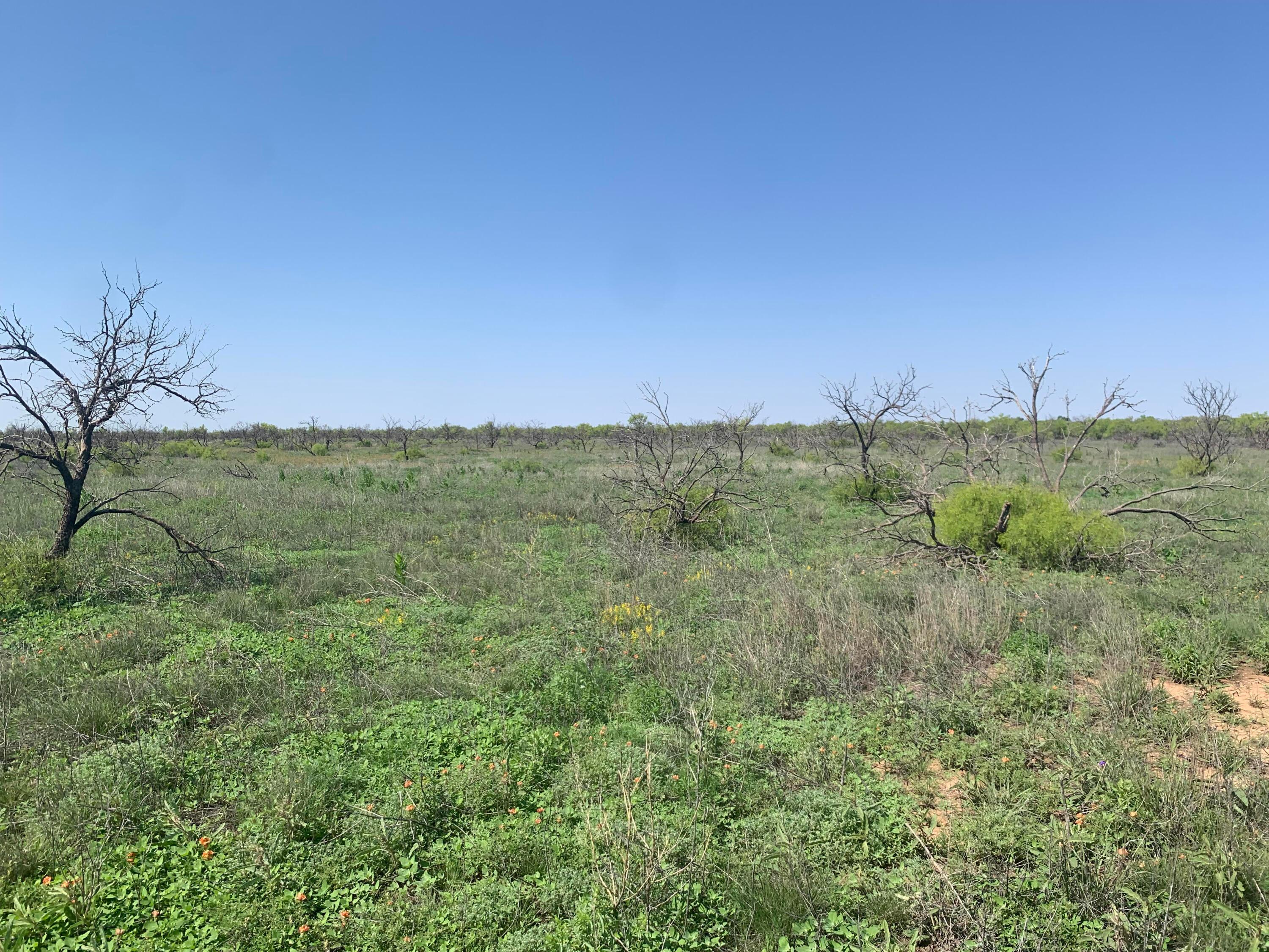 0 Cedar Creek Road Property Photo 3