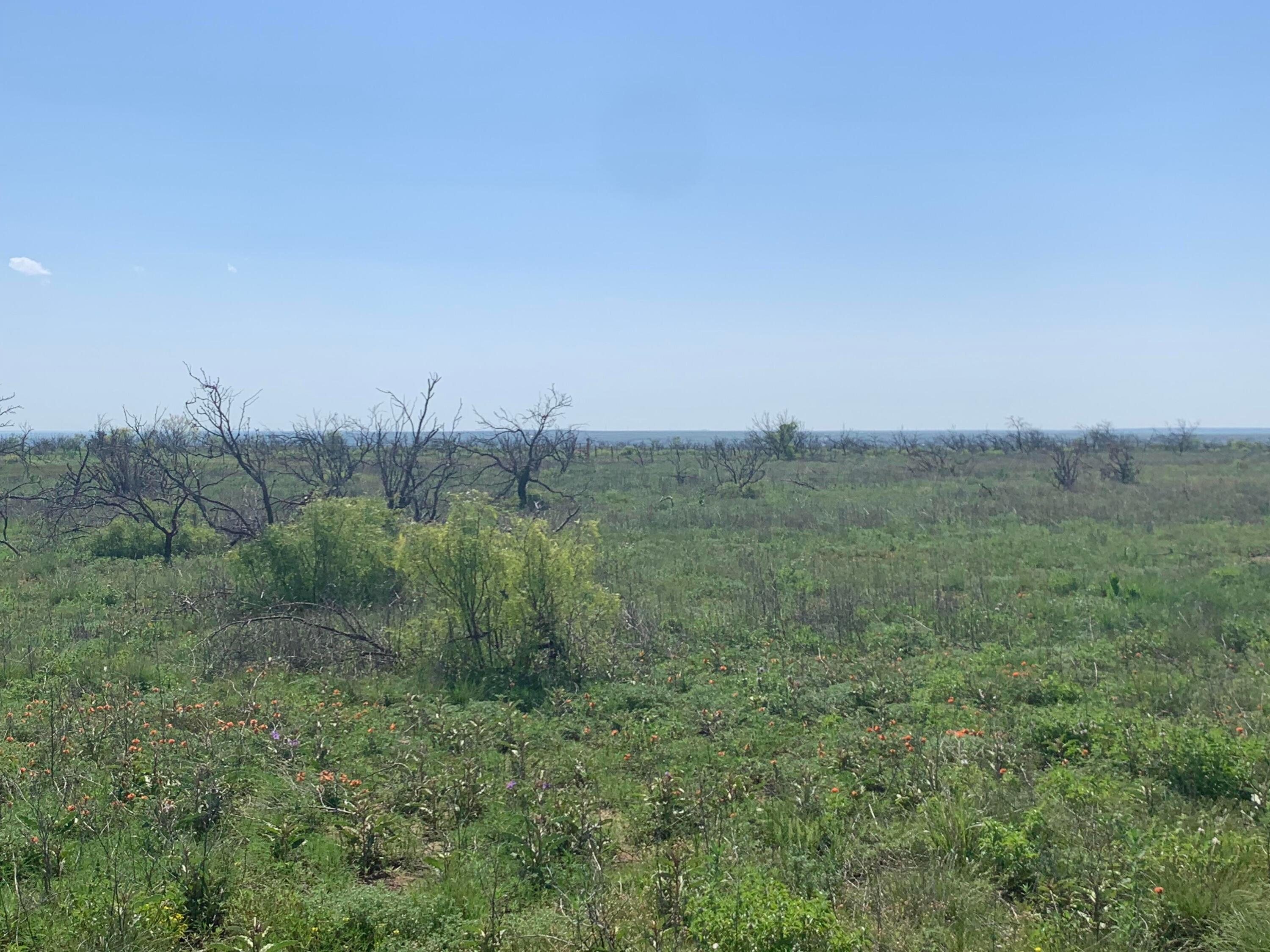0 Cedar Creek Road Property Photo 4