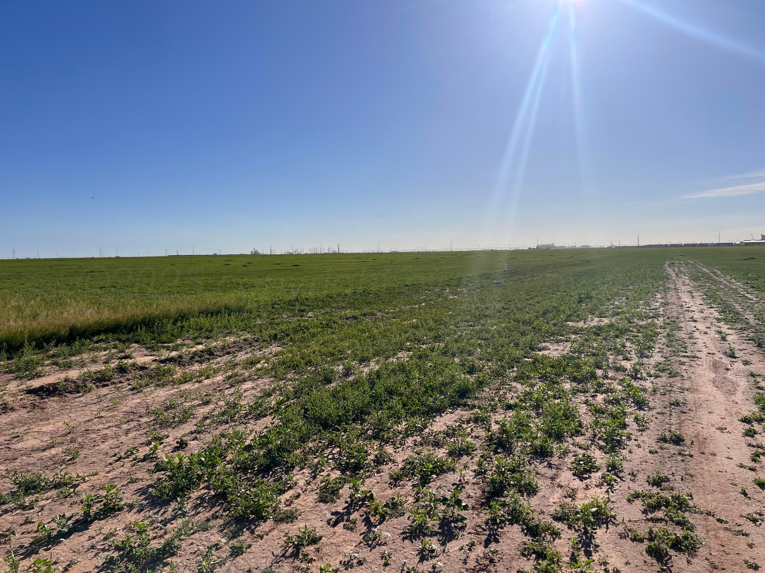 Co Rd 7b, 7c Property Photo 4