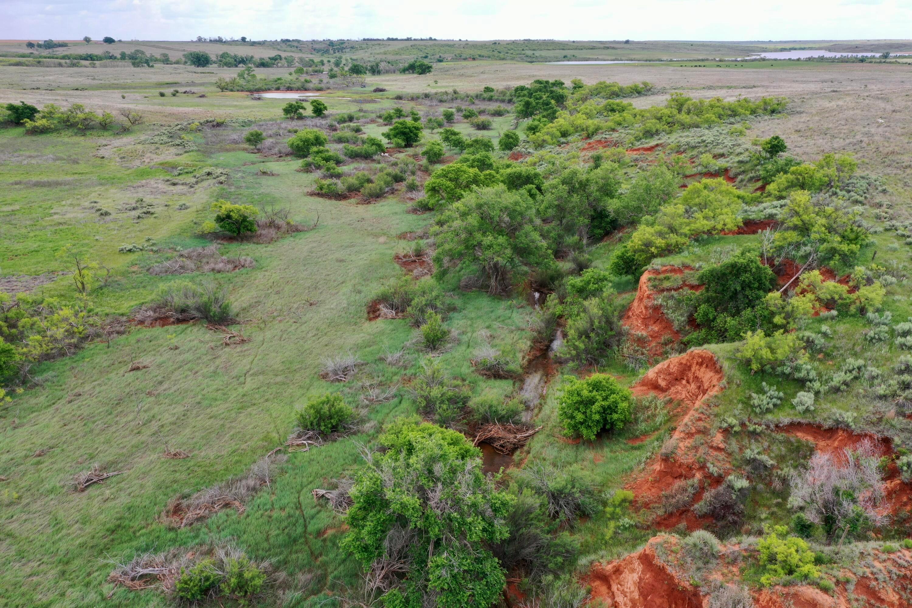 Fm 1619 Property Photo 1