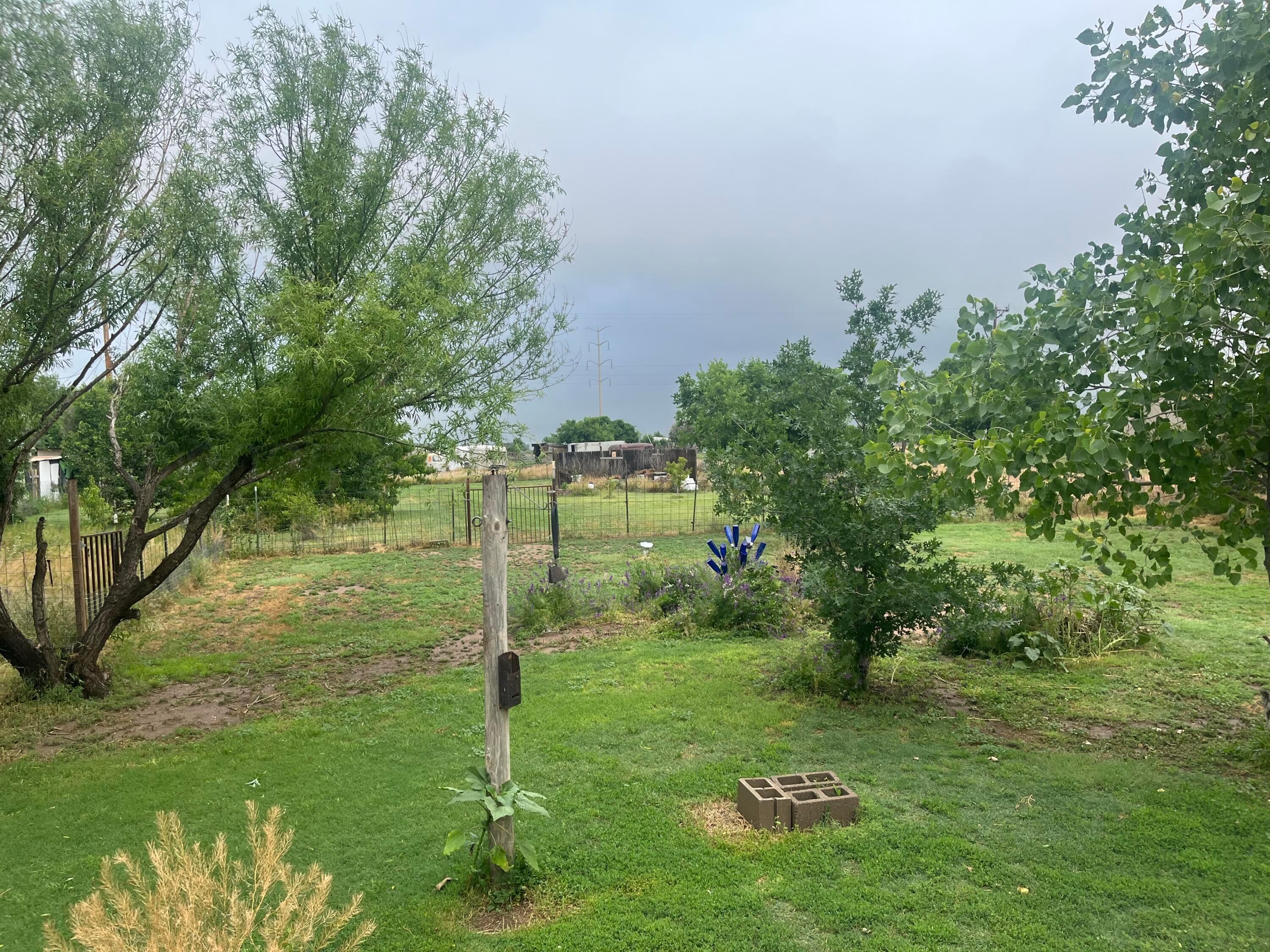 4515 Hines Property Photo 25