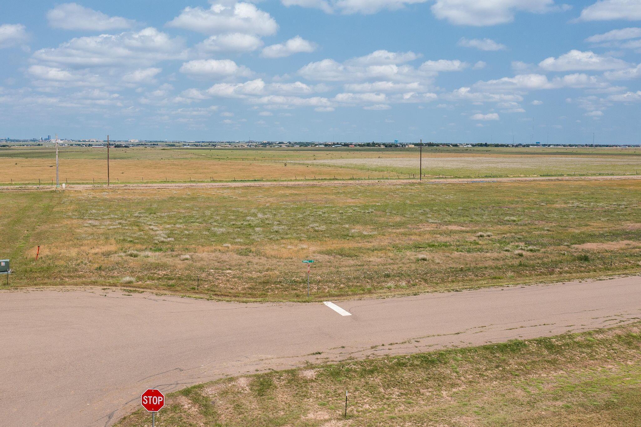 1317 Silverman Road Property Photo 4