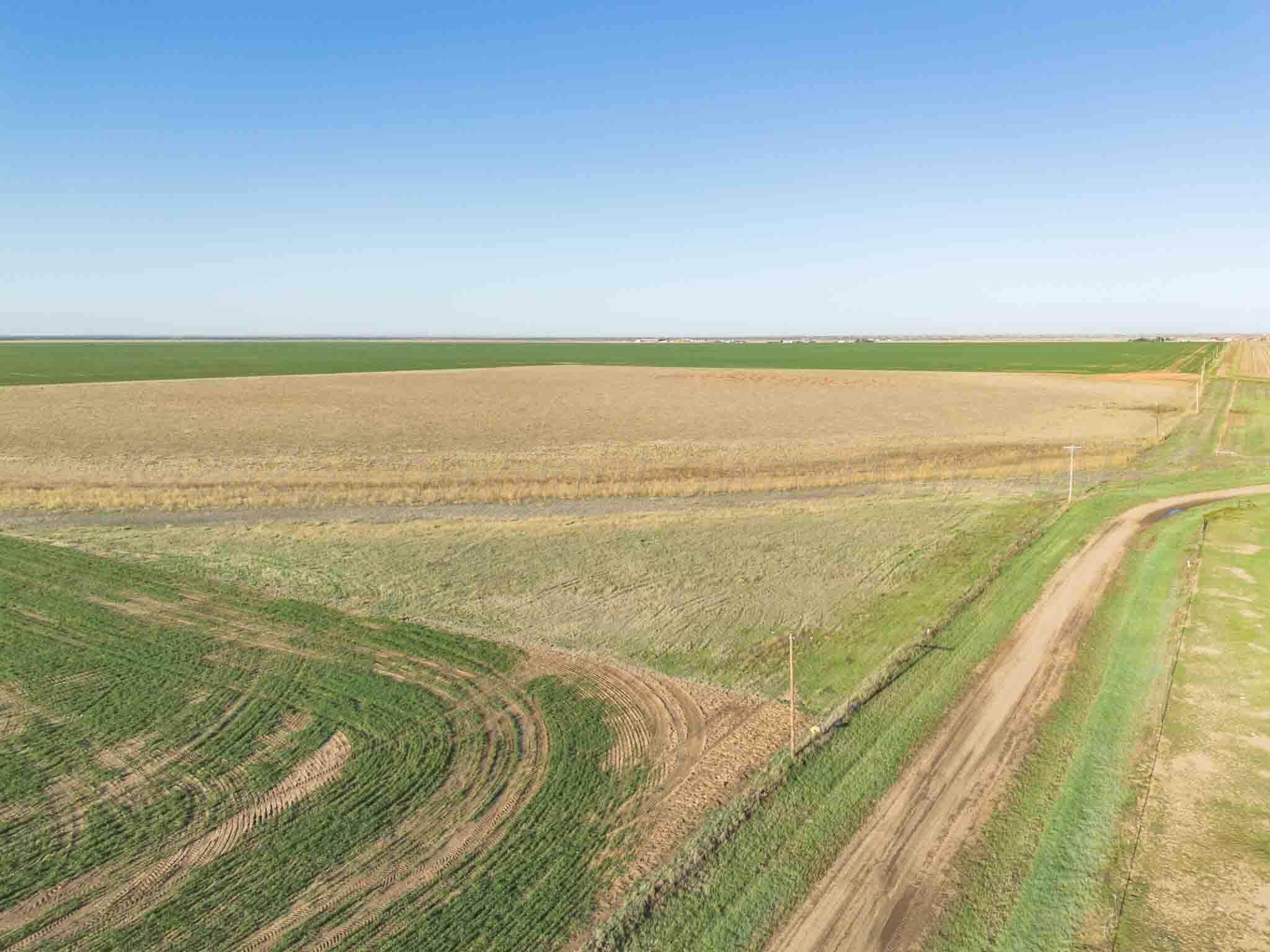 Friemel 980 Acres Property Photo