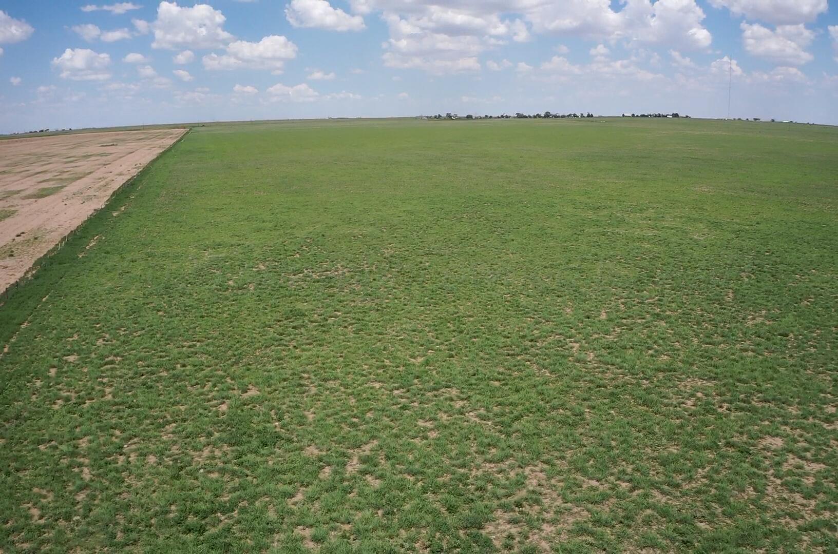 West 50 Acres Hwy 60 Property Photo 5