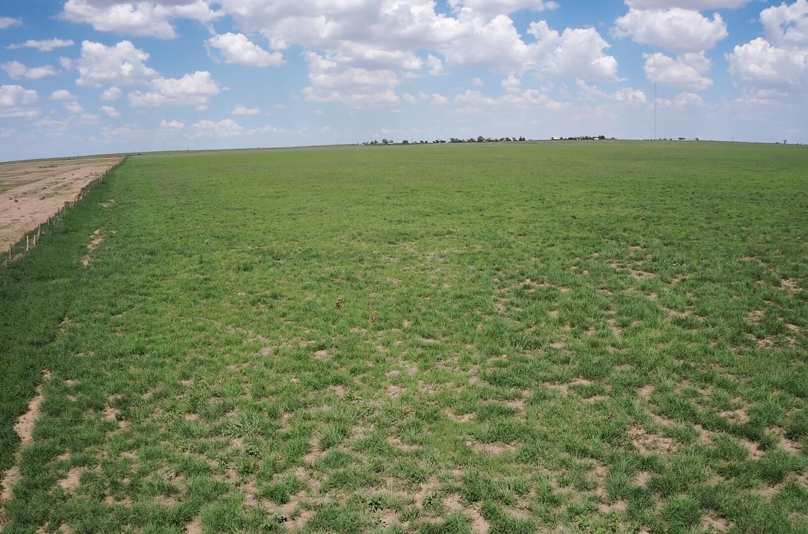 West 50 Acres Hwy 60 Property Photo 8