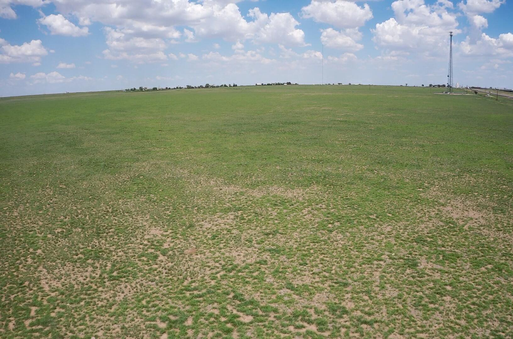 West 50 Acres Hwy 60 Property Photo 9