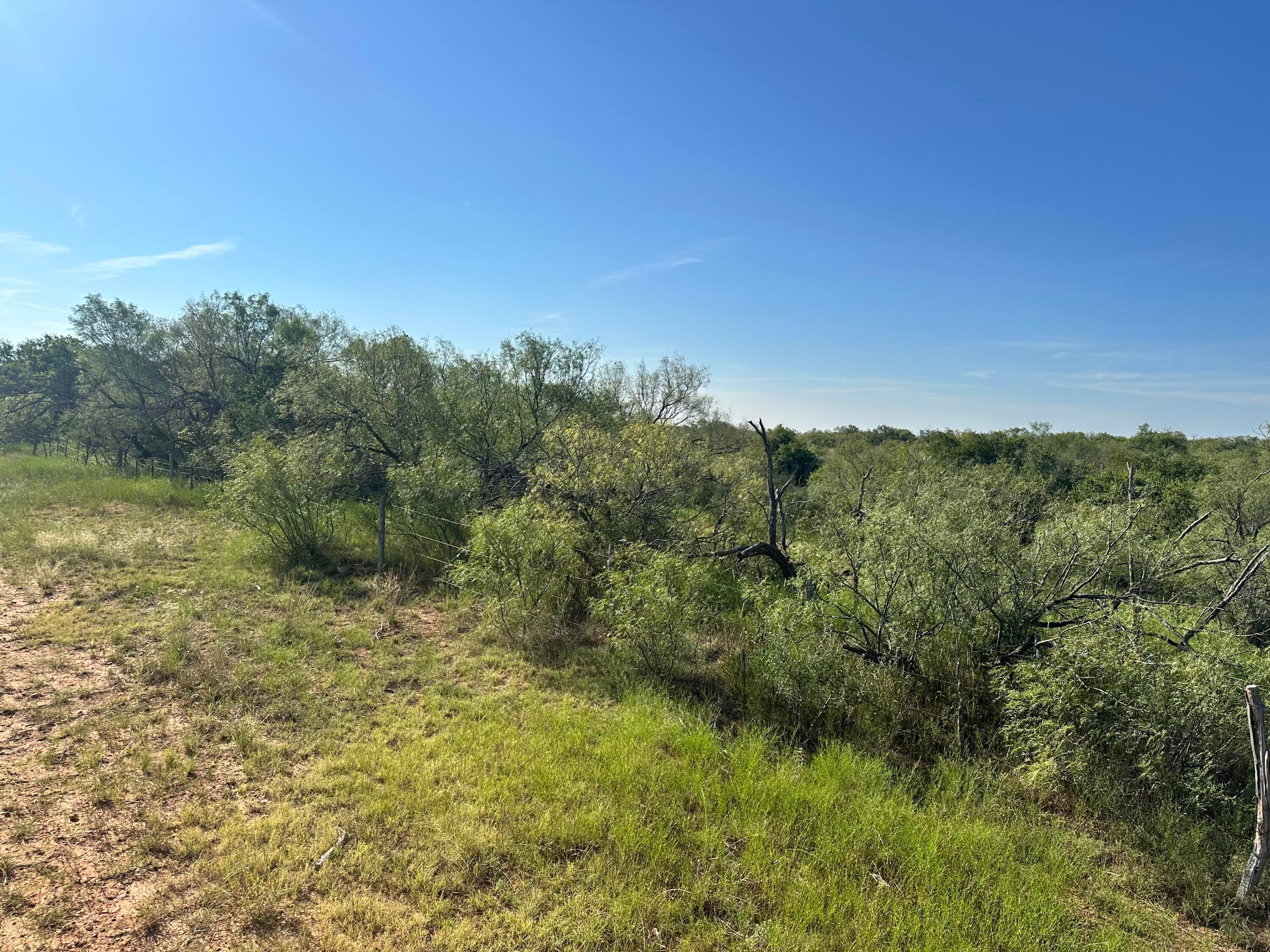 161.75 Acres Motley Co Property Photo 1