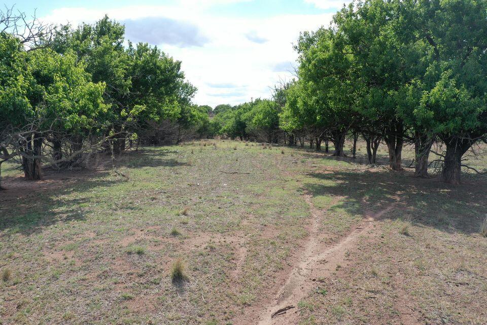 15200 Tx-152 Property Photo 48