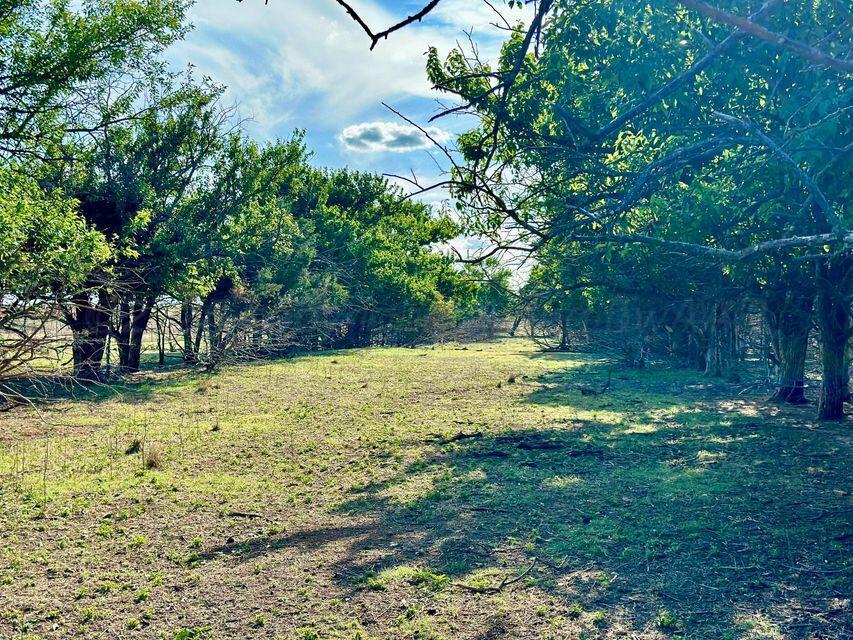 15200 Tx-152 Property Photo 49