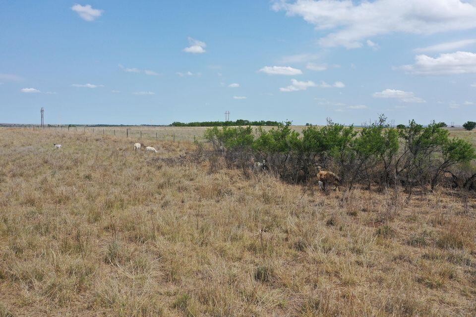 15200 Tx-152 Property Photo 63