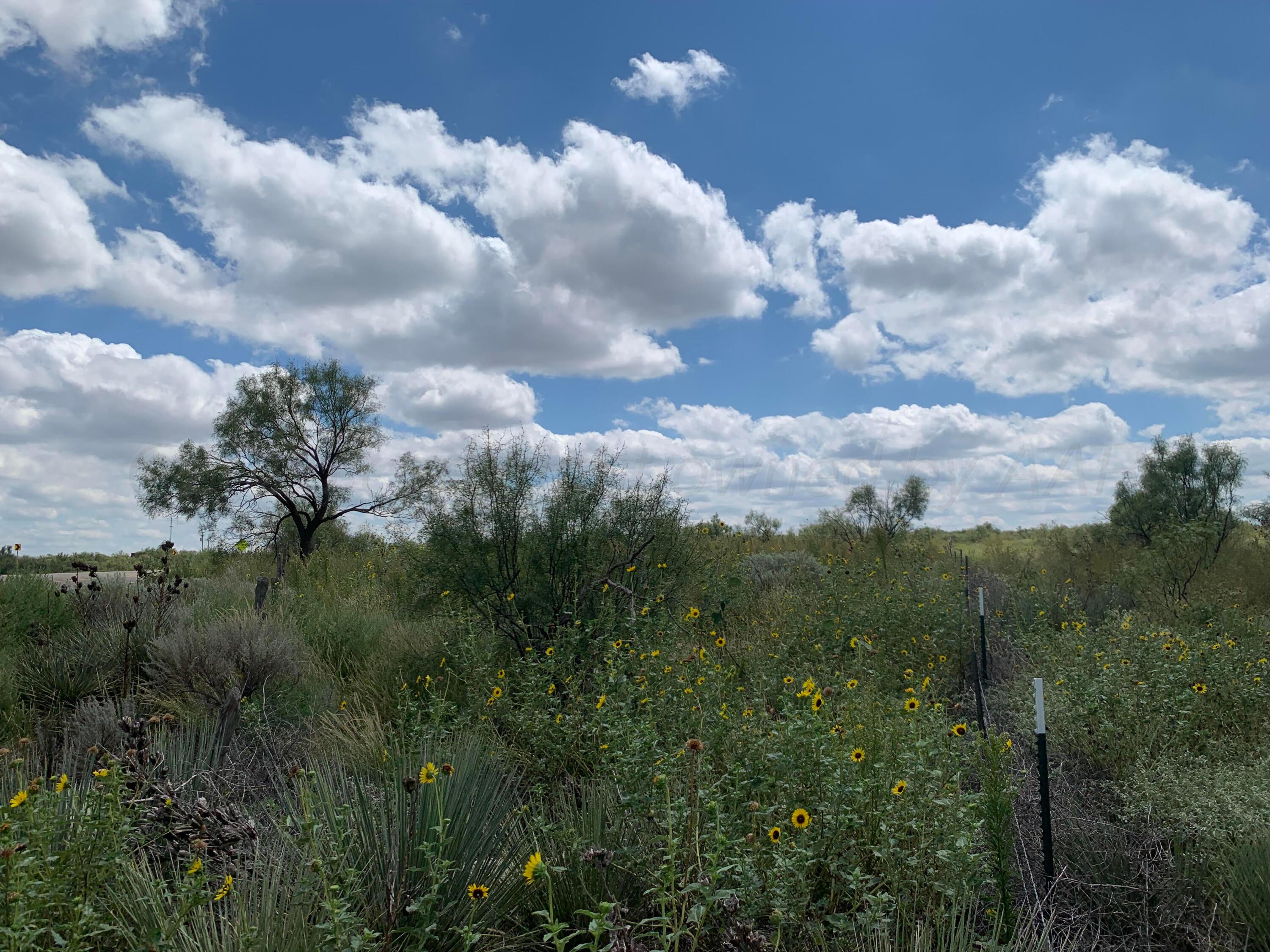 0 Goodrich Gulch Property Photo 3
