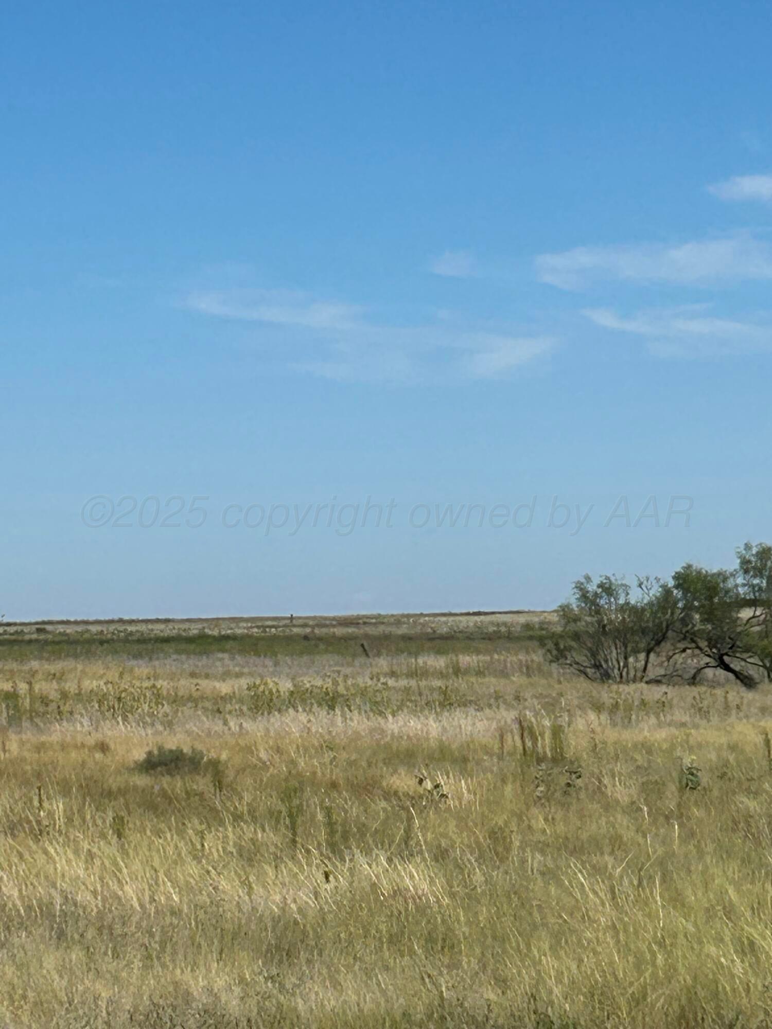 0 S Fm 1258 - Williams Property Photo 2