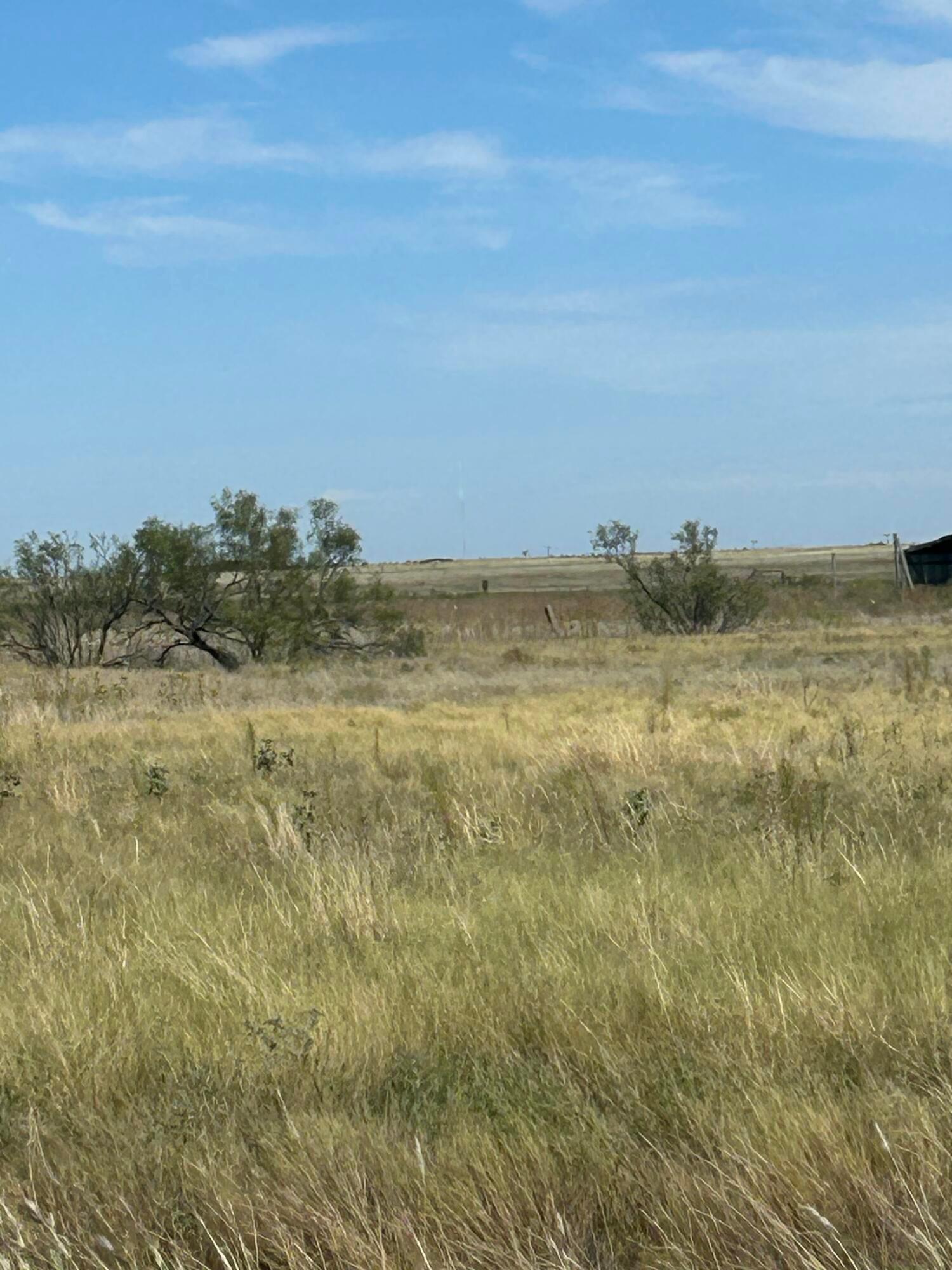 0 S Fm 1258 - Williams Property Photo 3