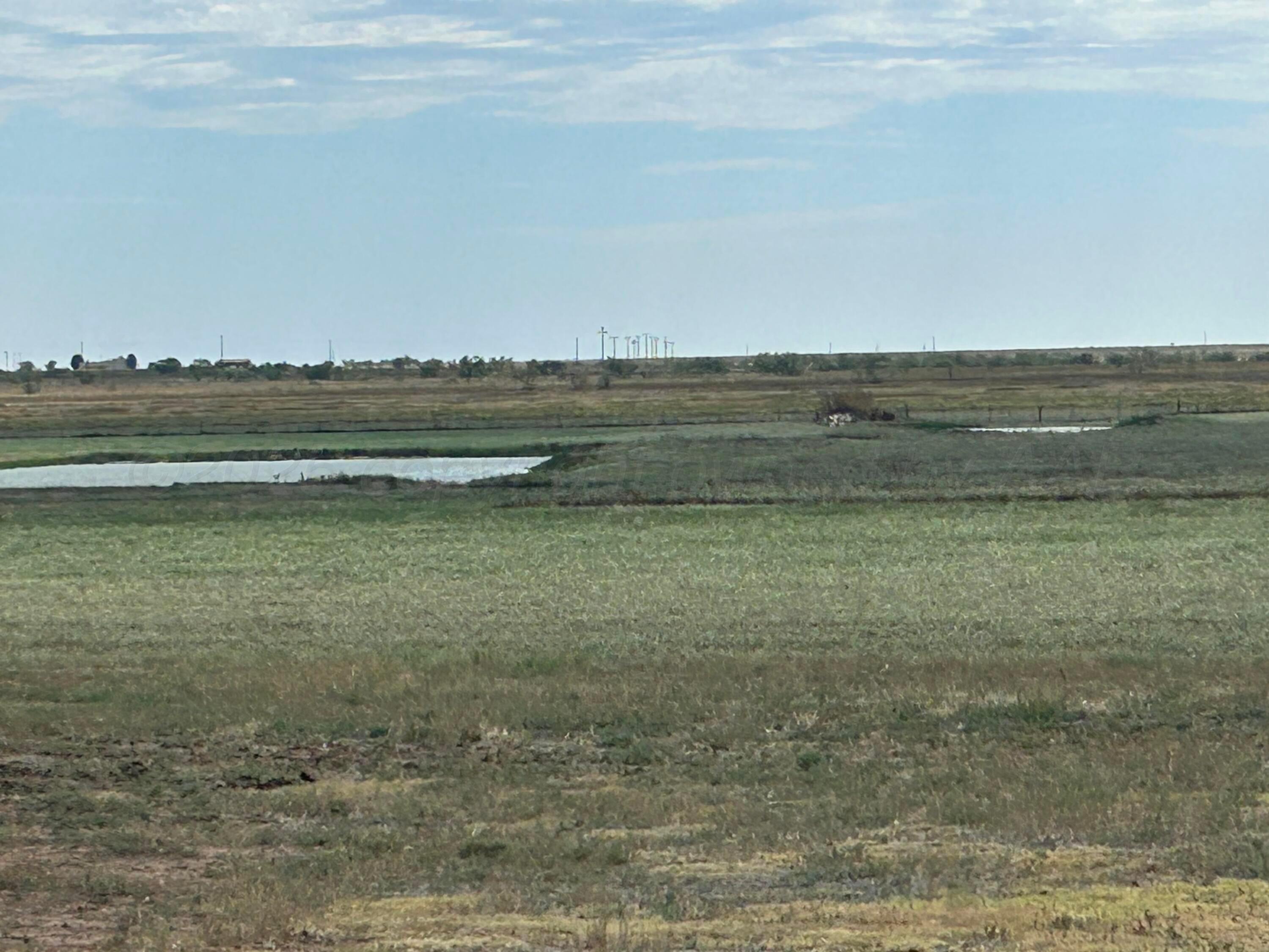 0 S Fm 1258 - Williams Property Photo 5