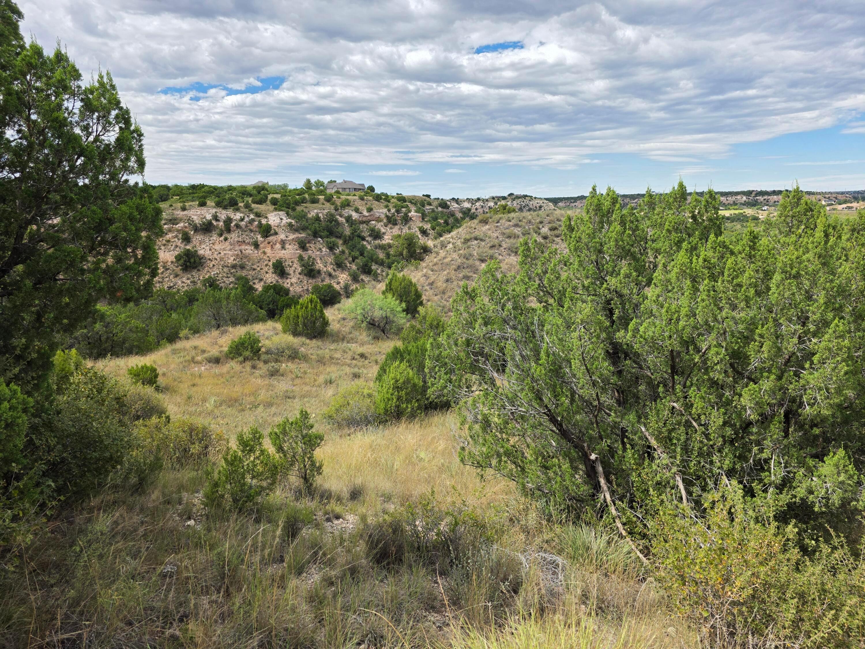 17500 Johns Way Boulevard Property Photo 8