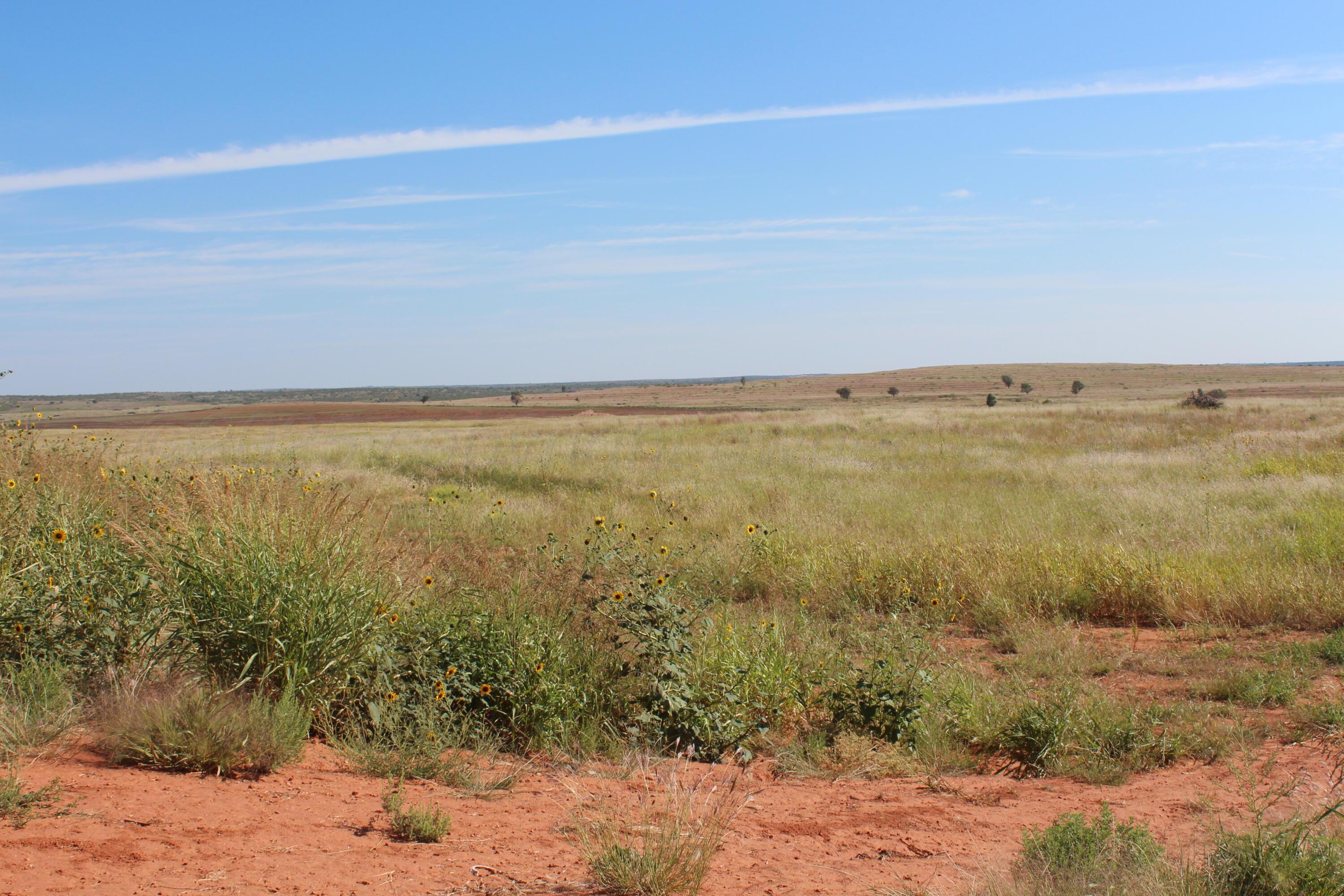 325 Acres Childress Property Photo 2